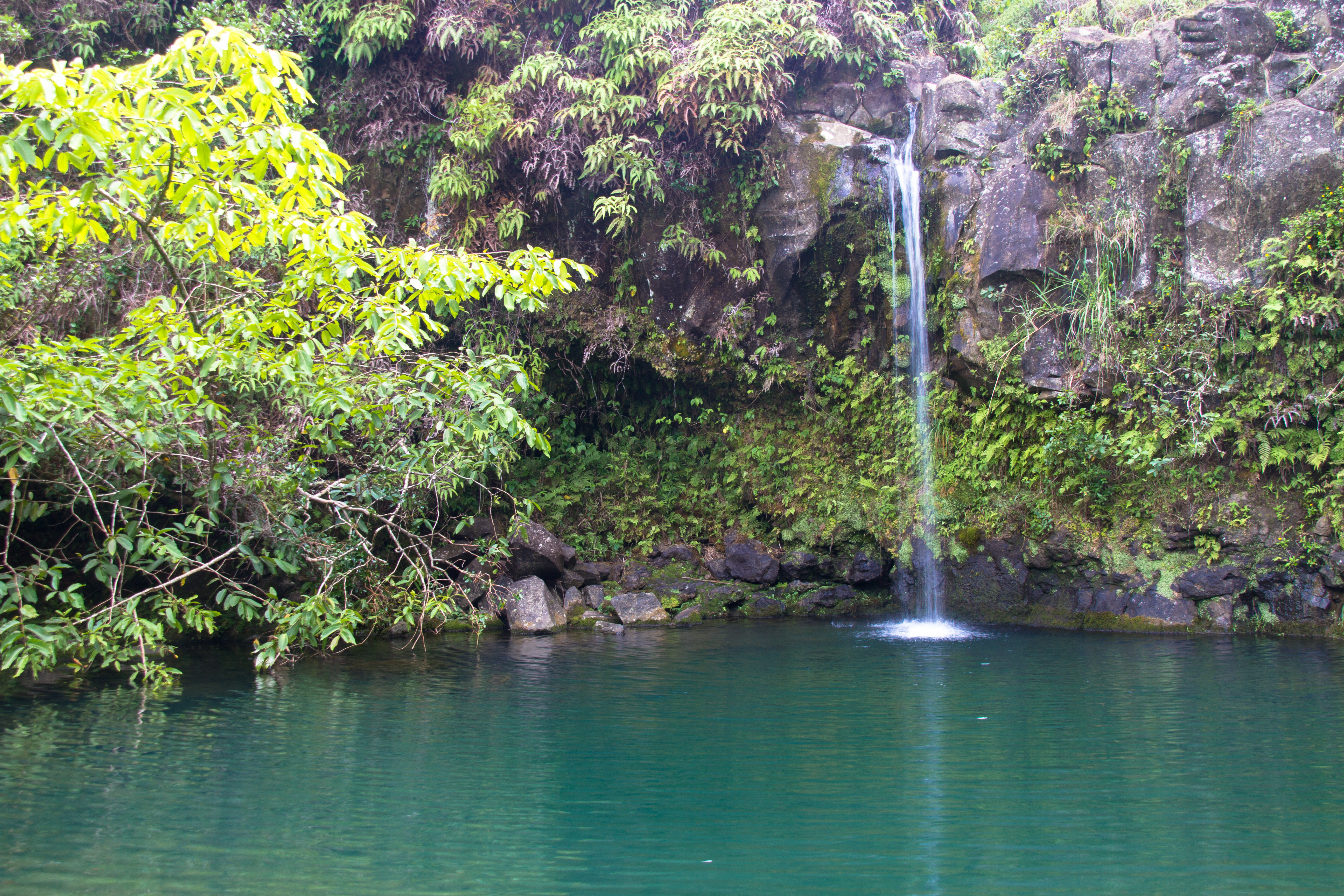 Puaʻa Kaʻa State Wayside Park State Park