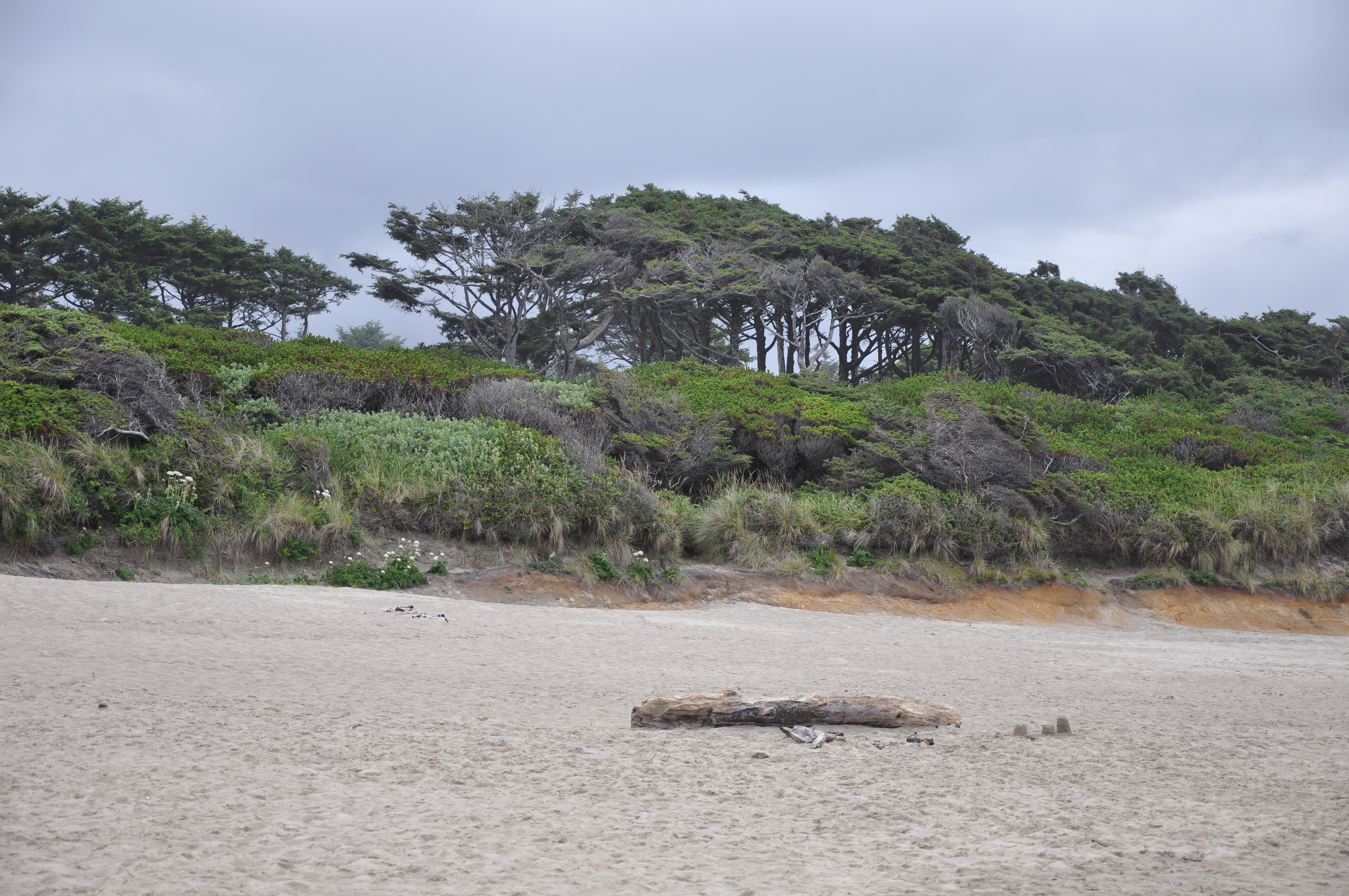 Beachside State Recreation Site State Park