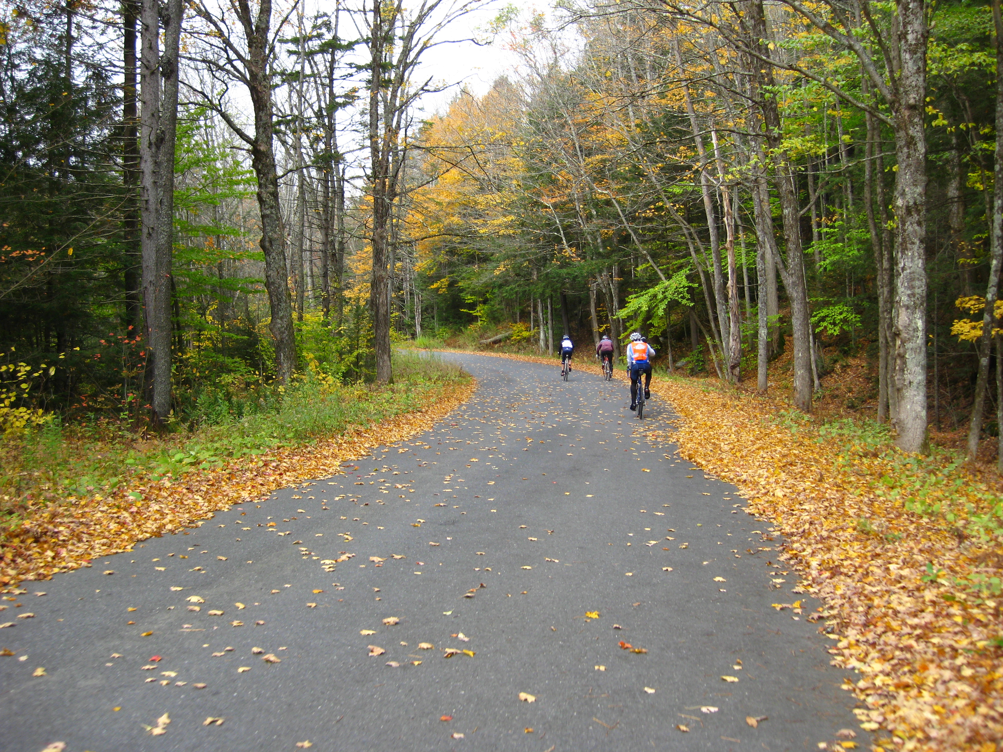 Windsor State Forest State Park