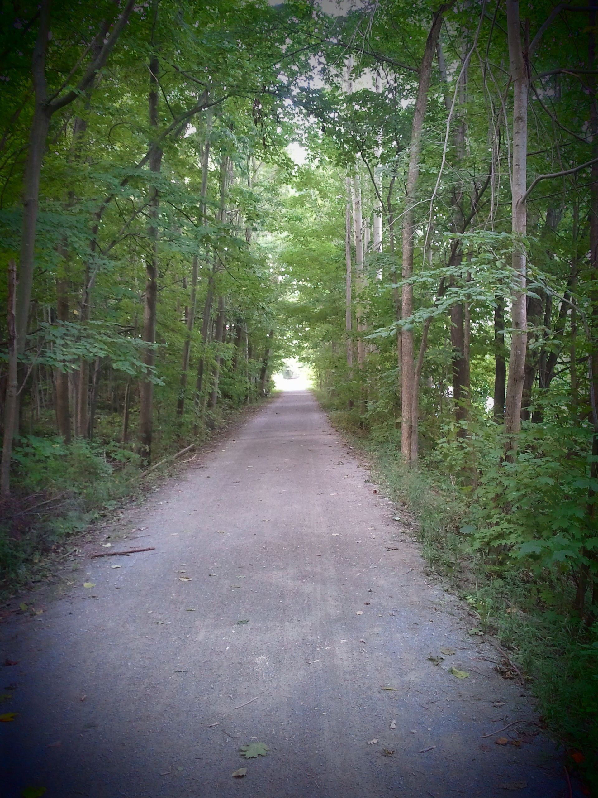 Kal-Haven Trail State Park