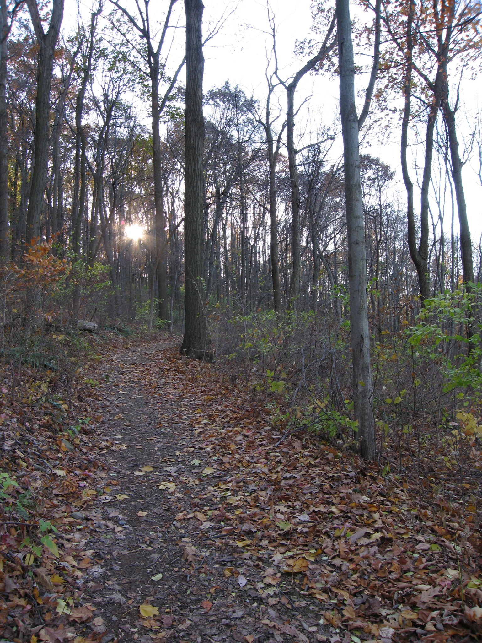 Nolde Forest Environmental Education Center State Park