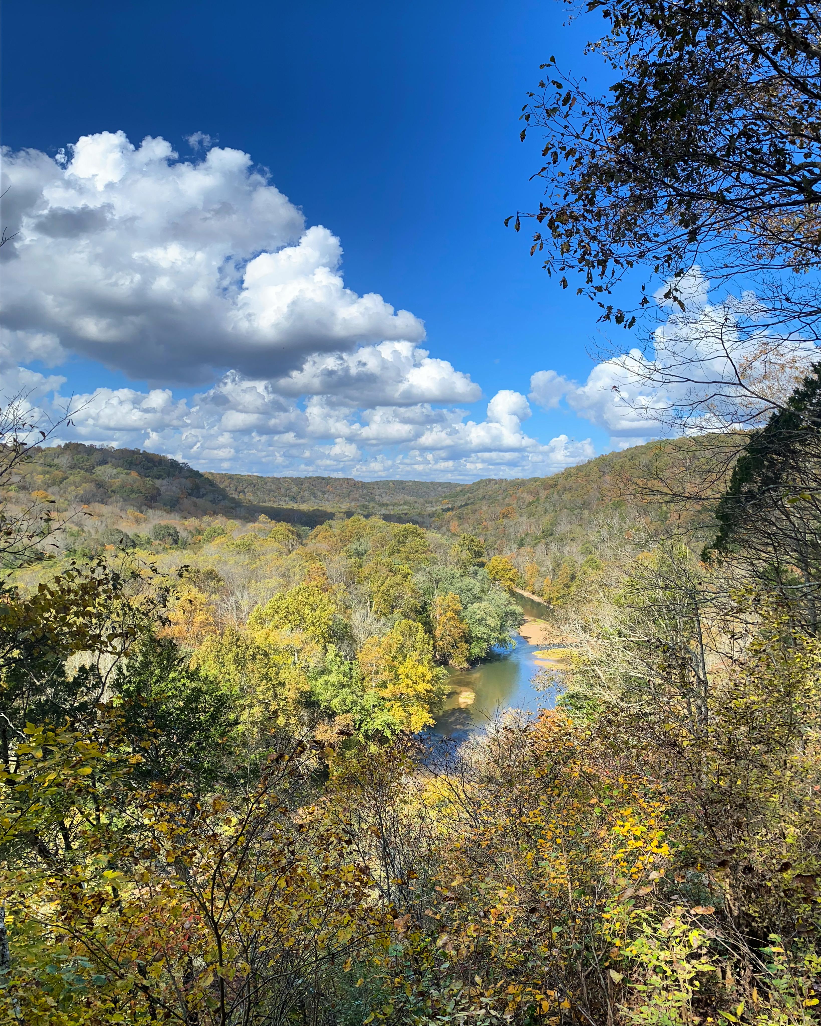 Mammoth Cave National Park