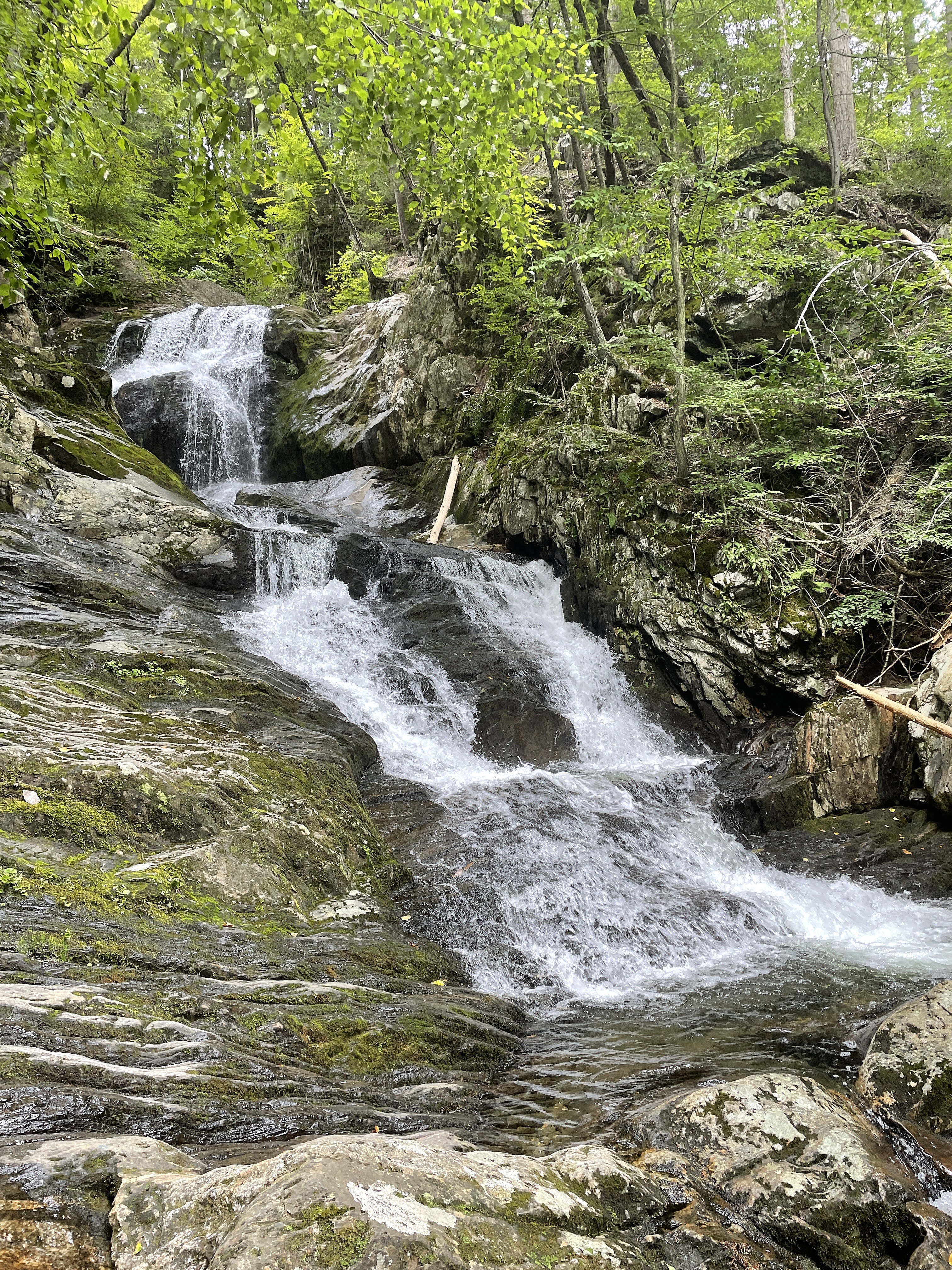 Chester-Blandford State Forest State Park