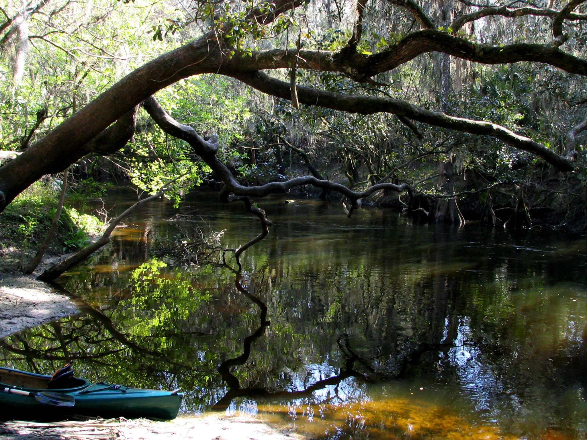 Alafia River State Park
