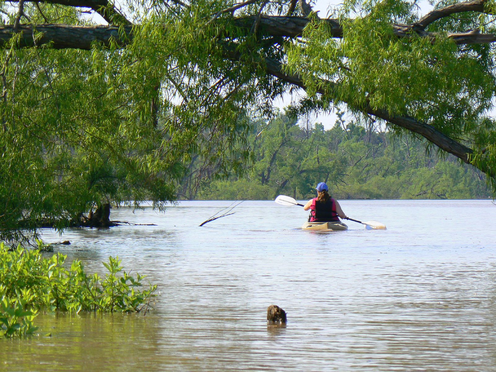 Lake Eufaula State Park