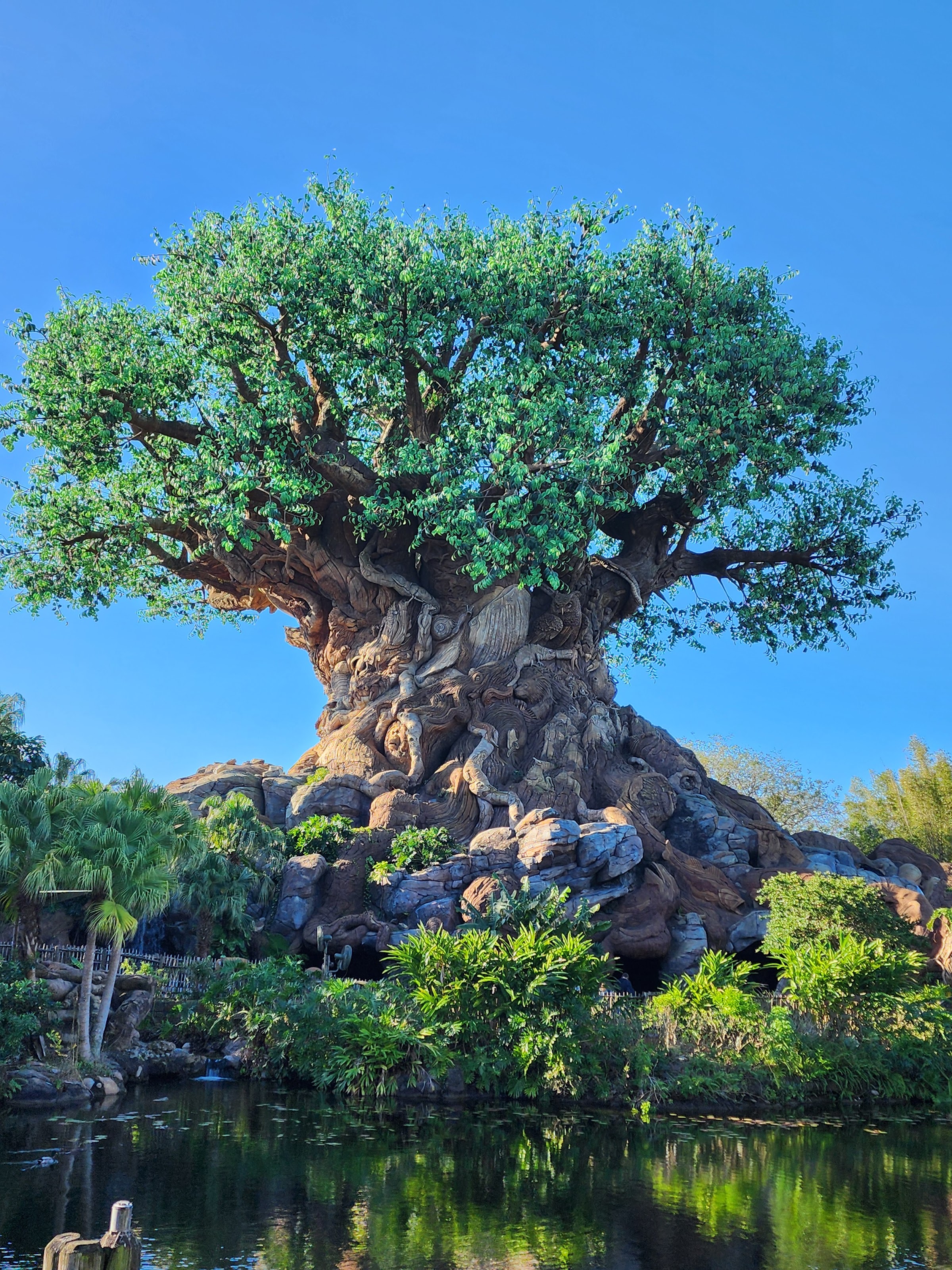 Animal Kingdom Costuming