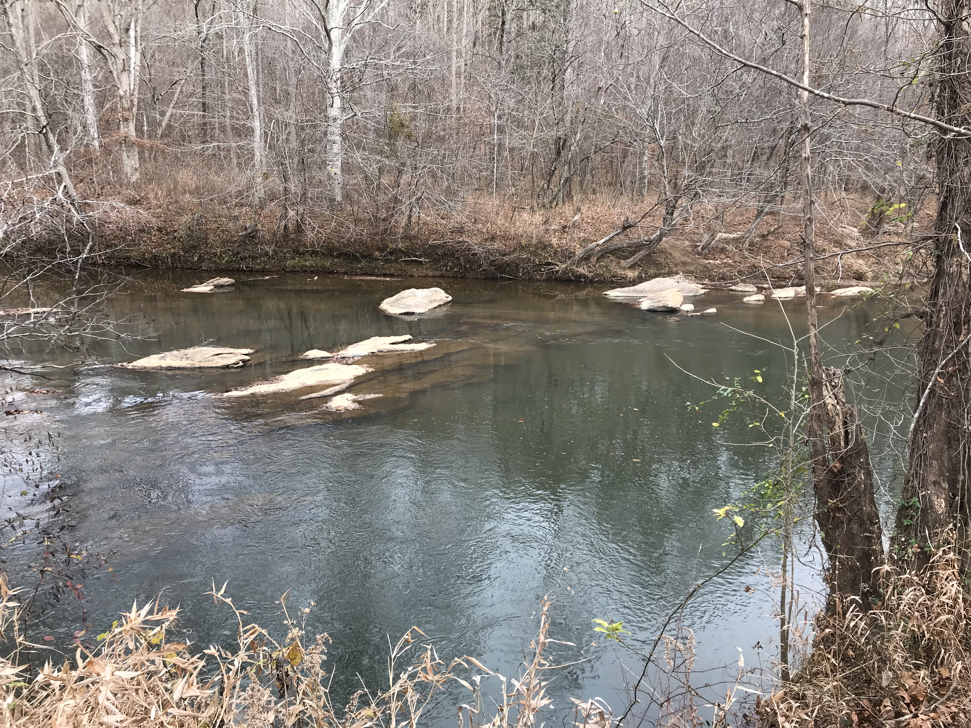 Mayo River State Park