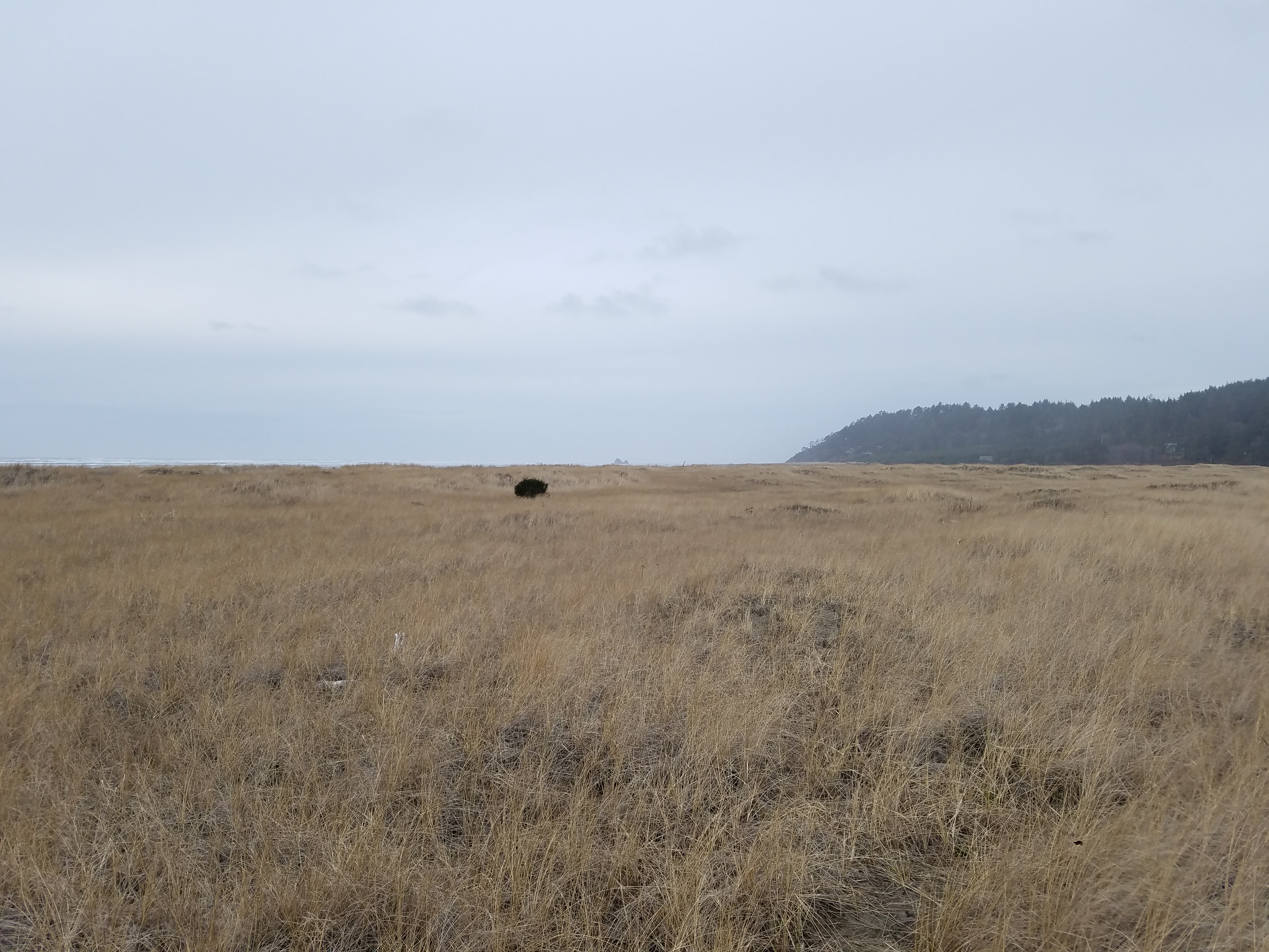 Griffiths-Priday State Park