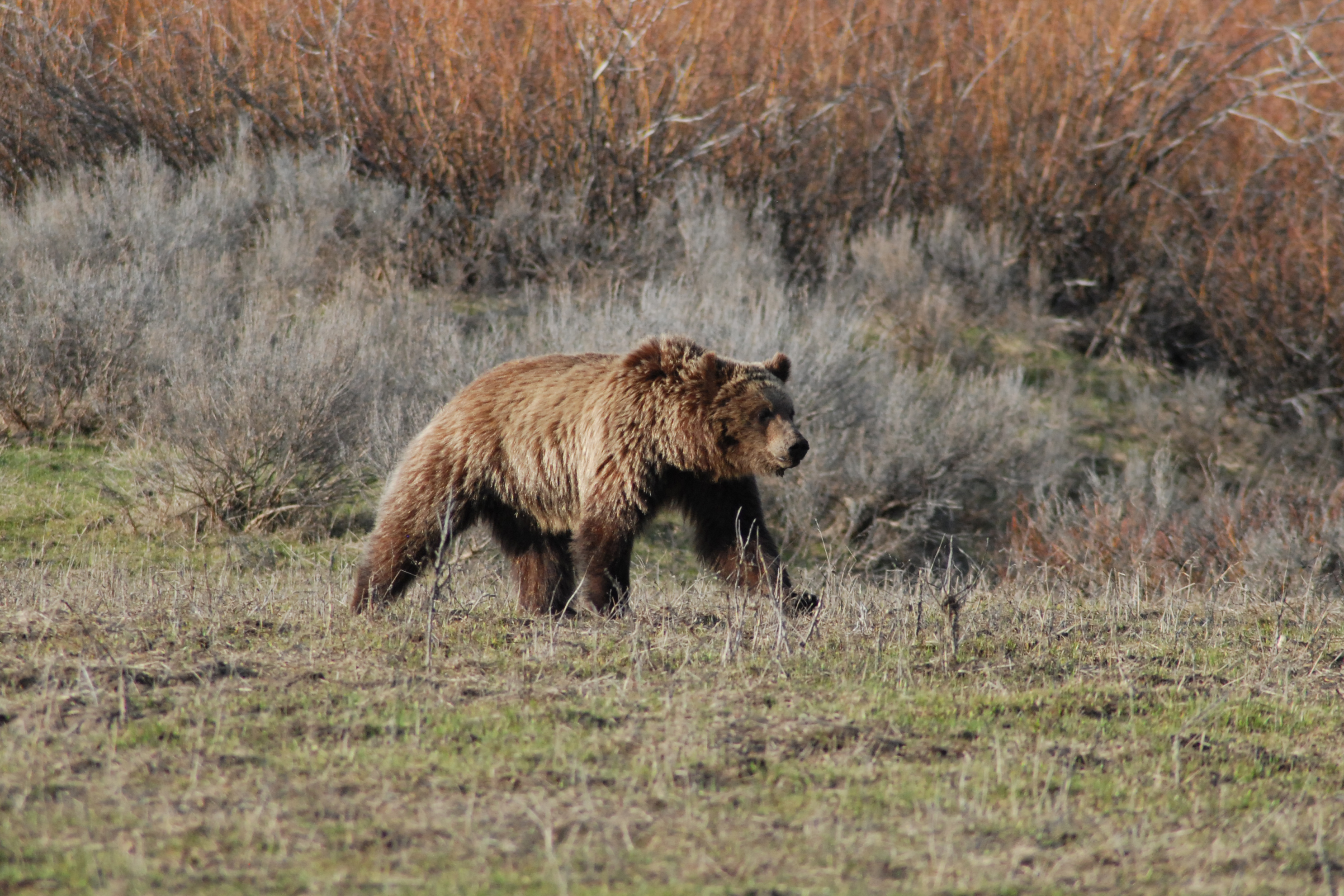 Grand Teton National Park