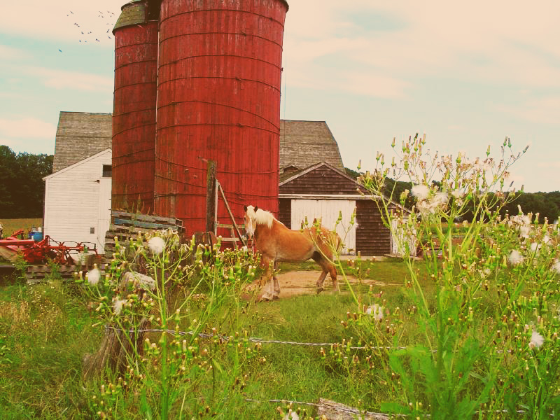 Snake Den State Park