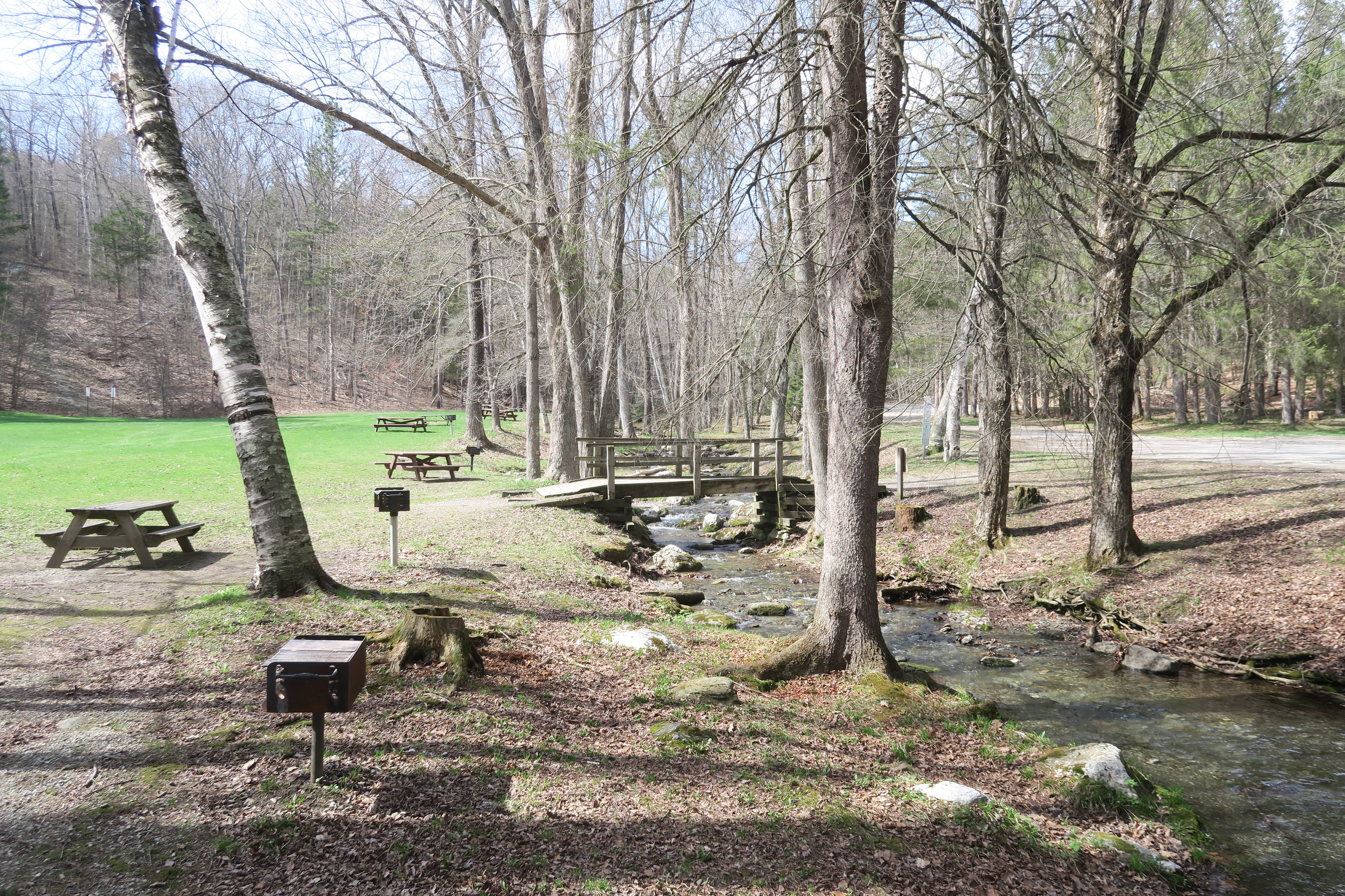 Pittsfield State Forest State Park