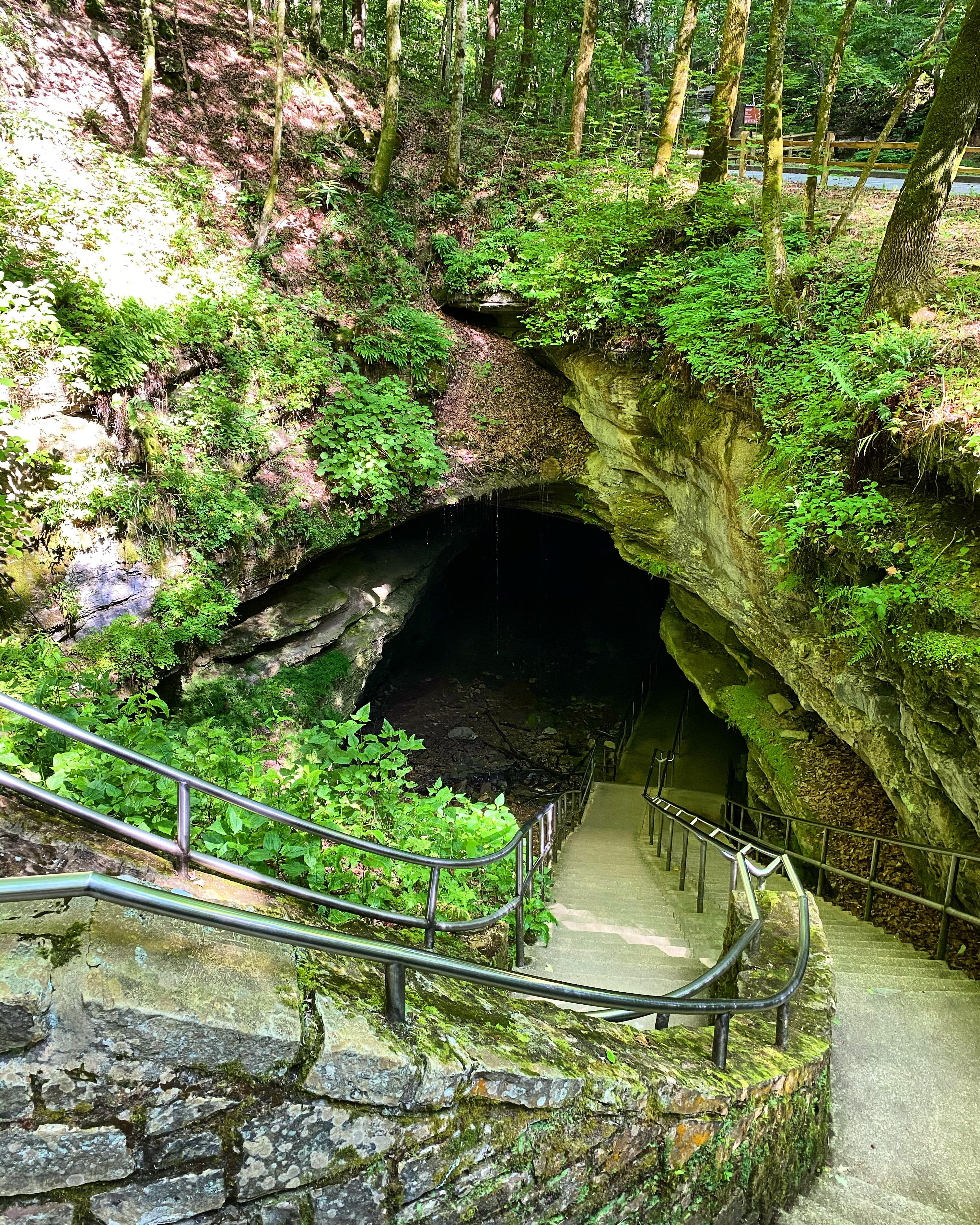 Mammoth Cave National Park