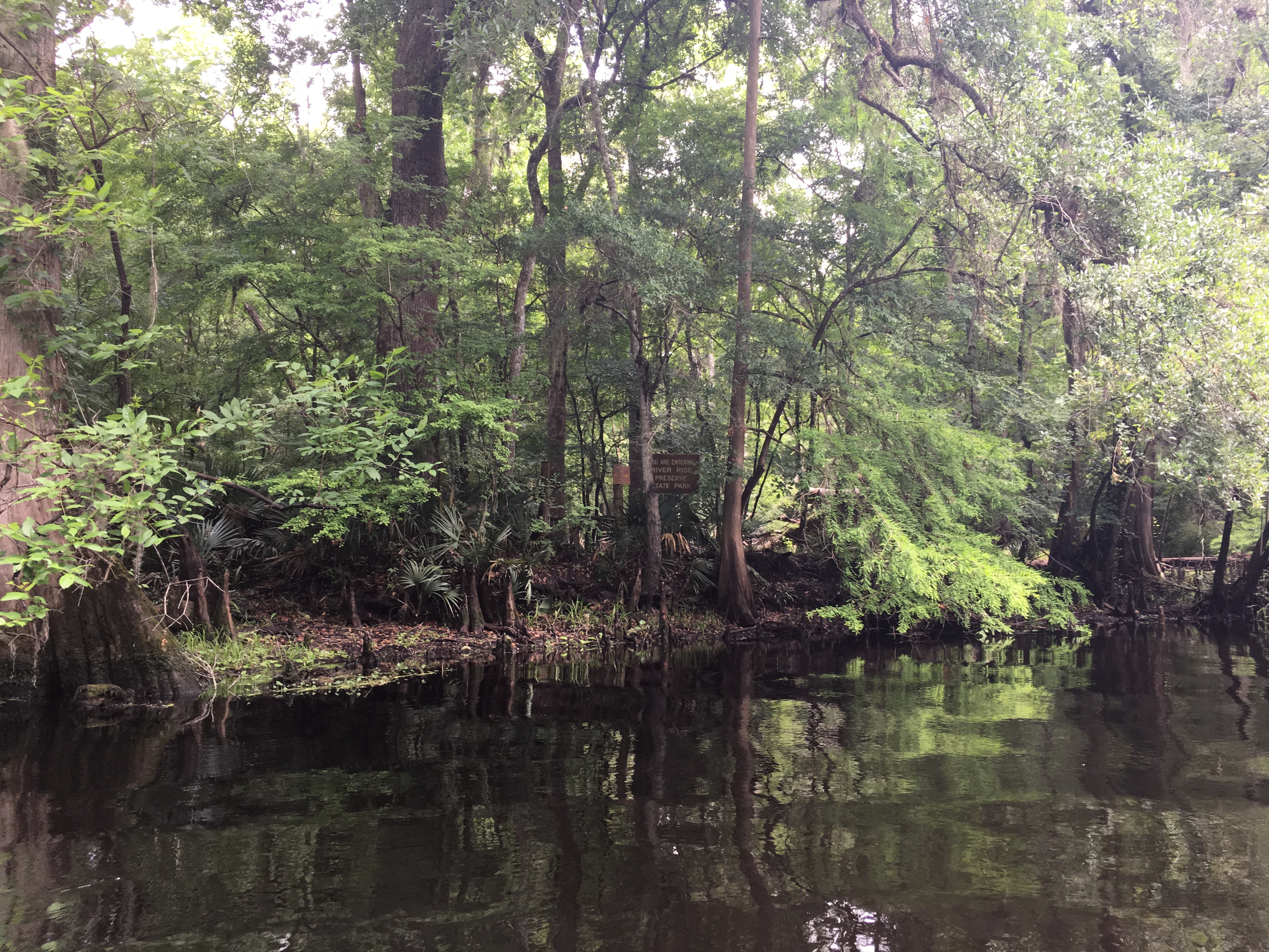 River Rise Preserve State Park
