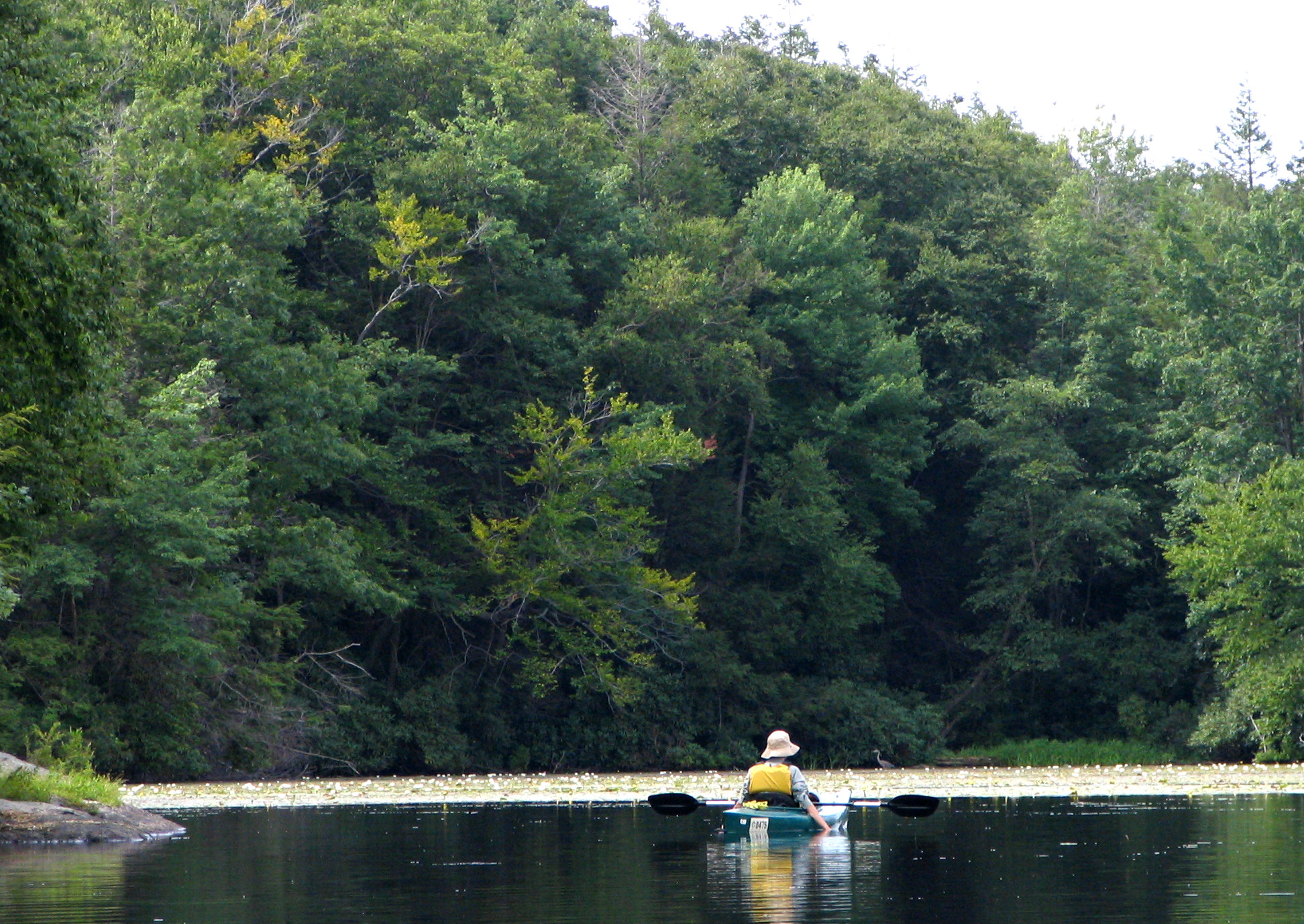 Wawayanda State Park