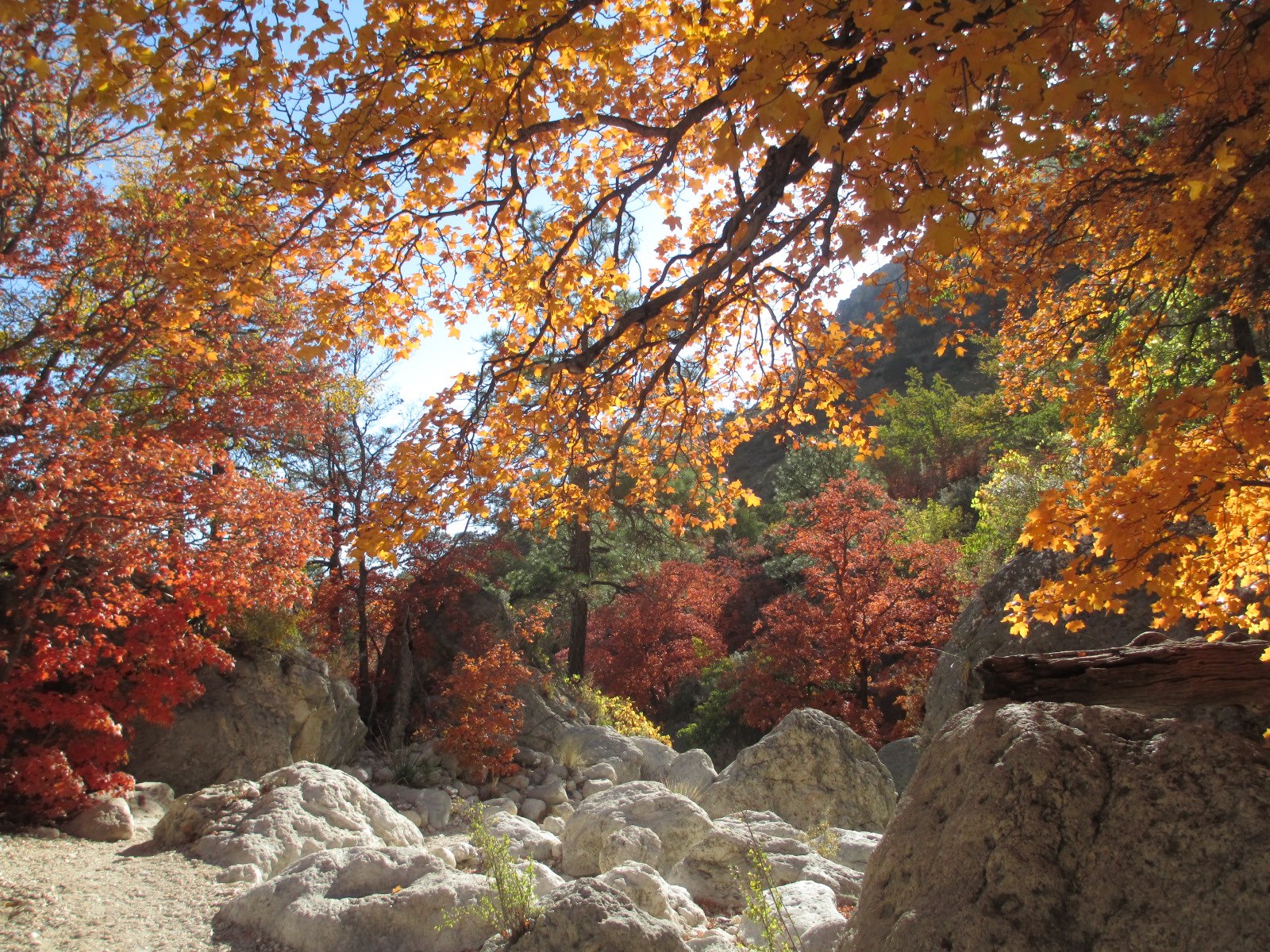 Guadalupe Mountains National Park