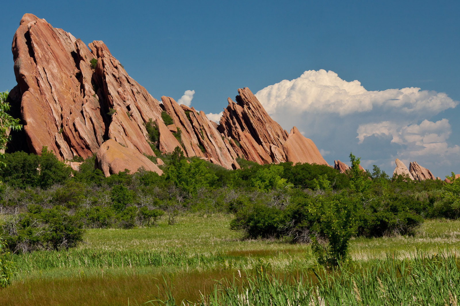 Roxborough State Park