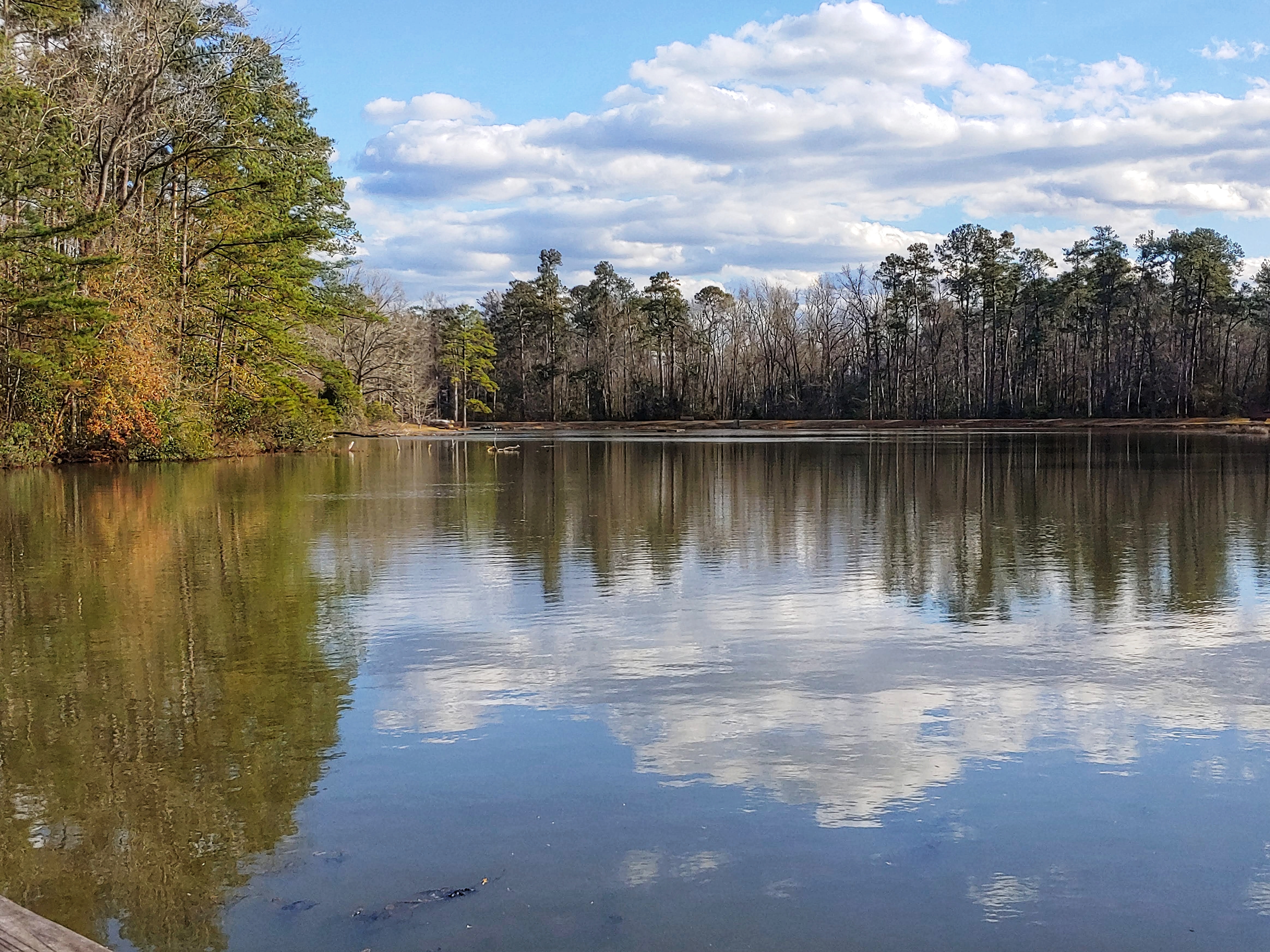 Barnwell State Park