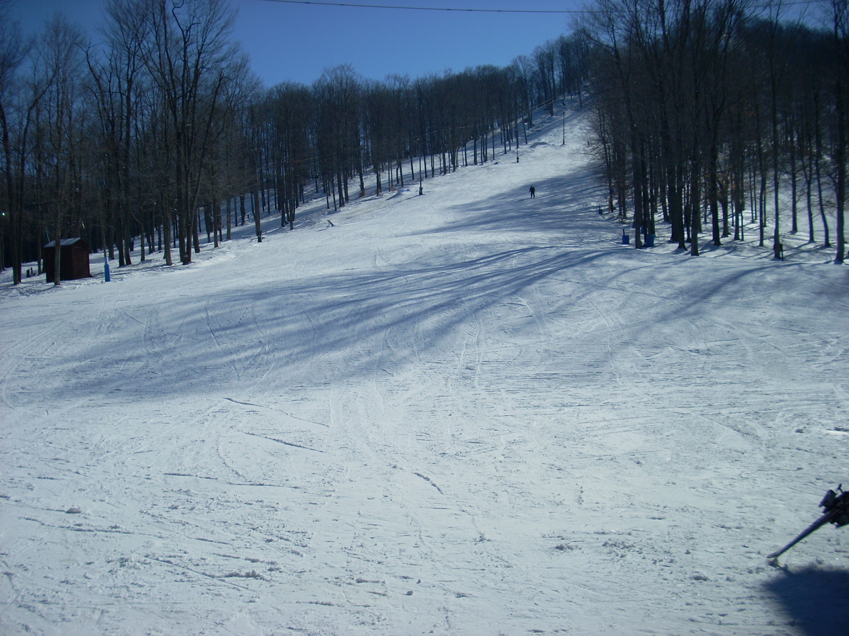 Denton Hill State Park