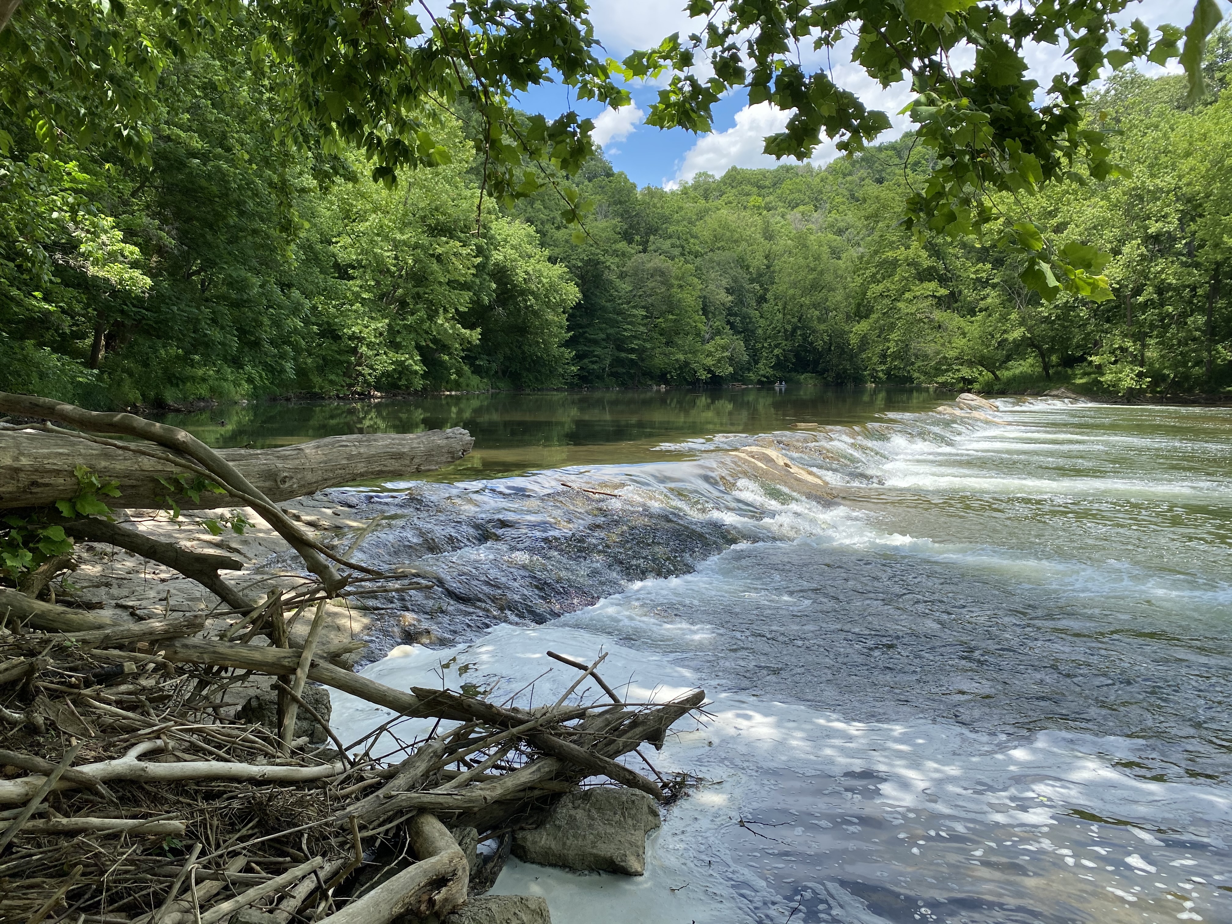 Clinch River State Park