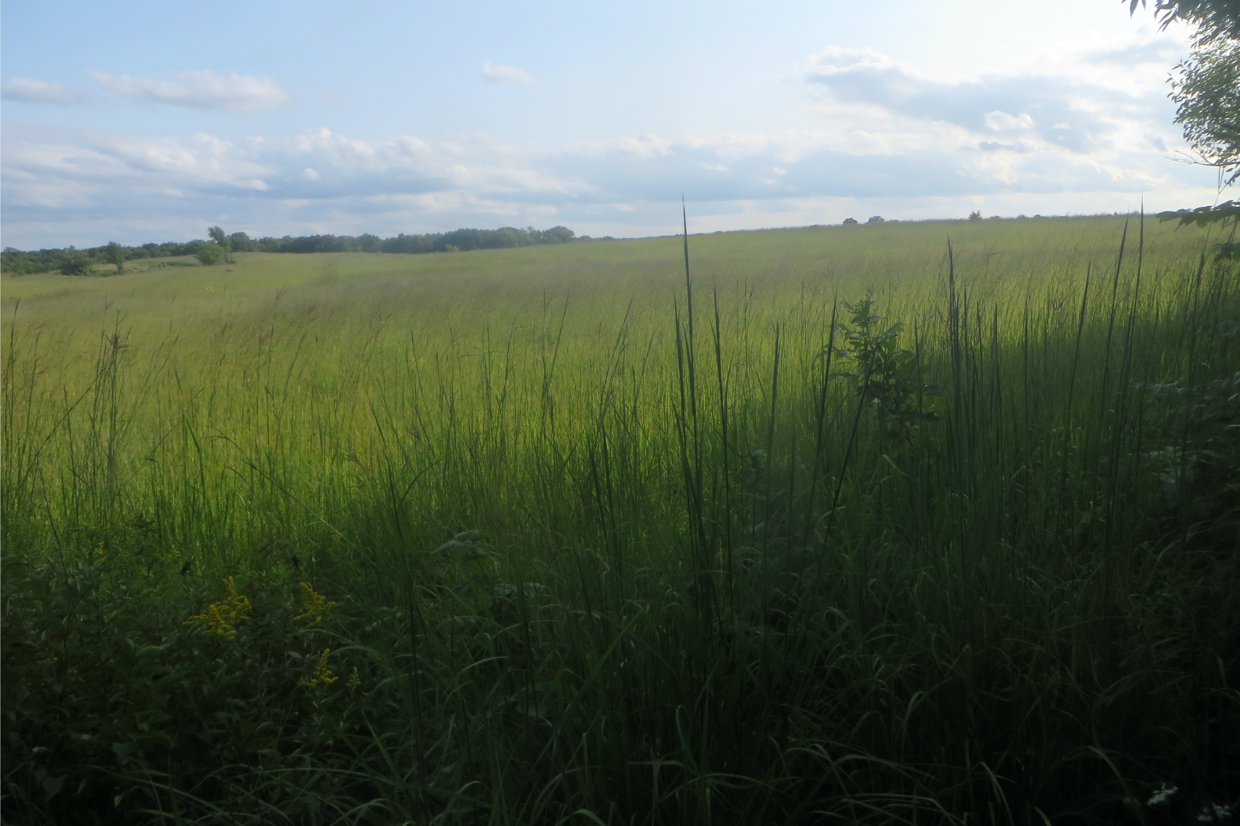Chain O'Lakes State Park