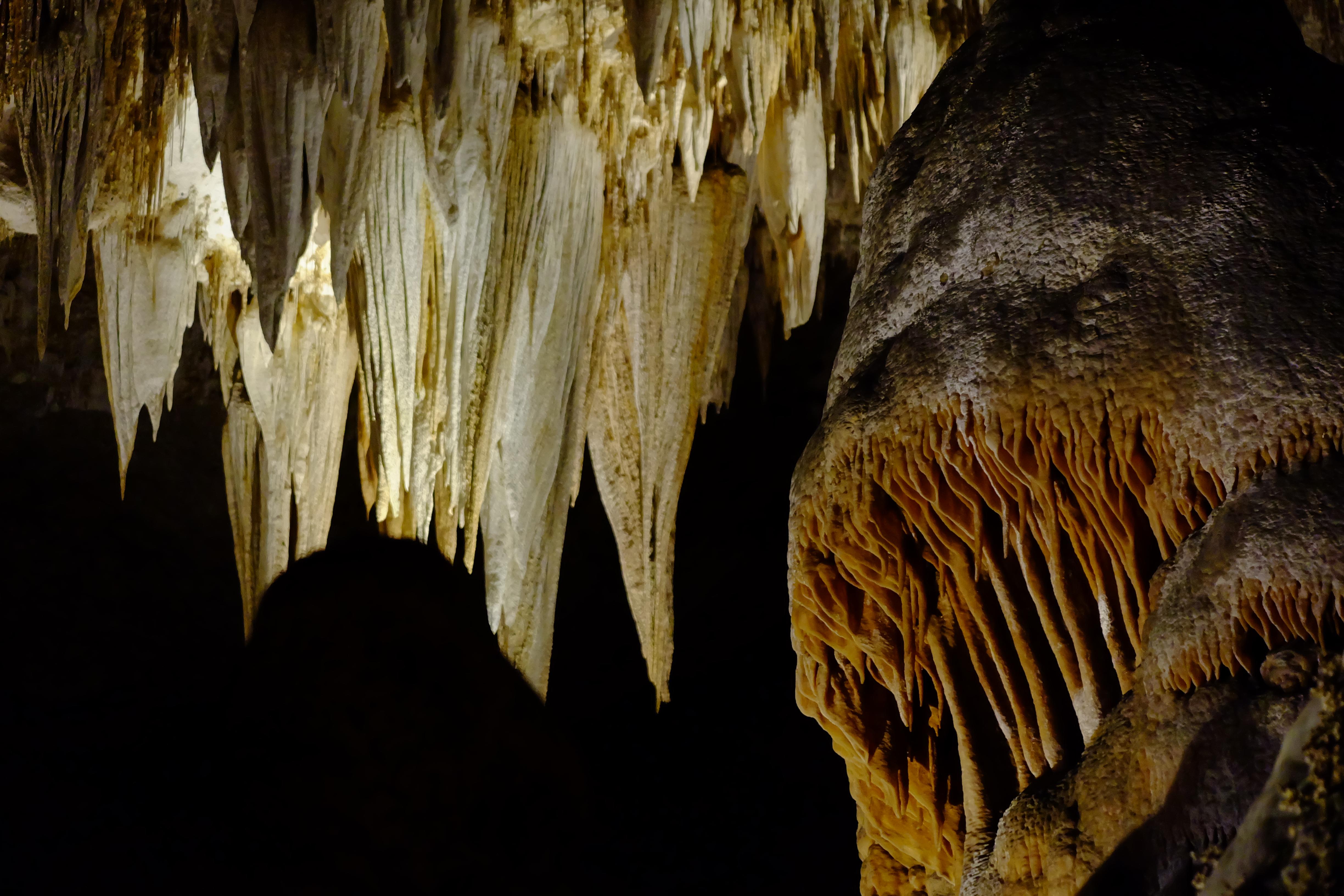 Carlsbad Caverns National Park