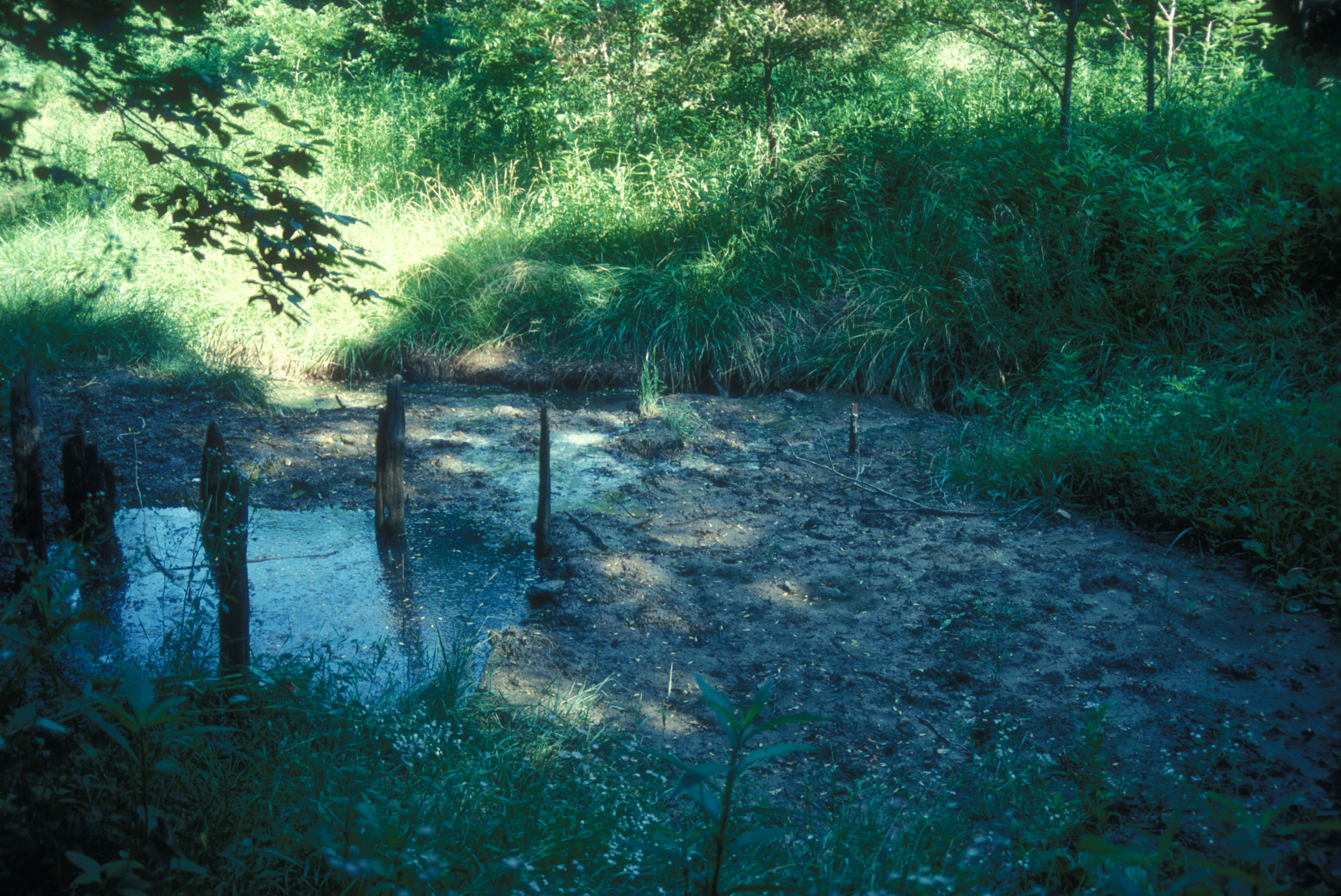 Boone's Lick State Historic Site State Park