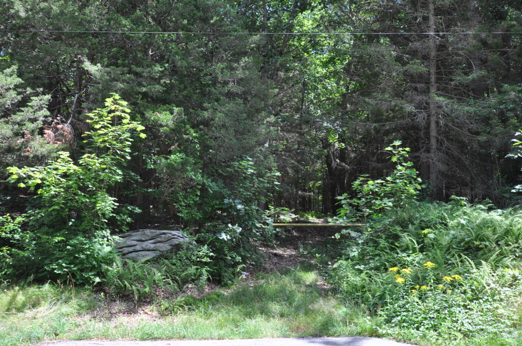 Mohegan State Forest State Park