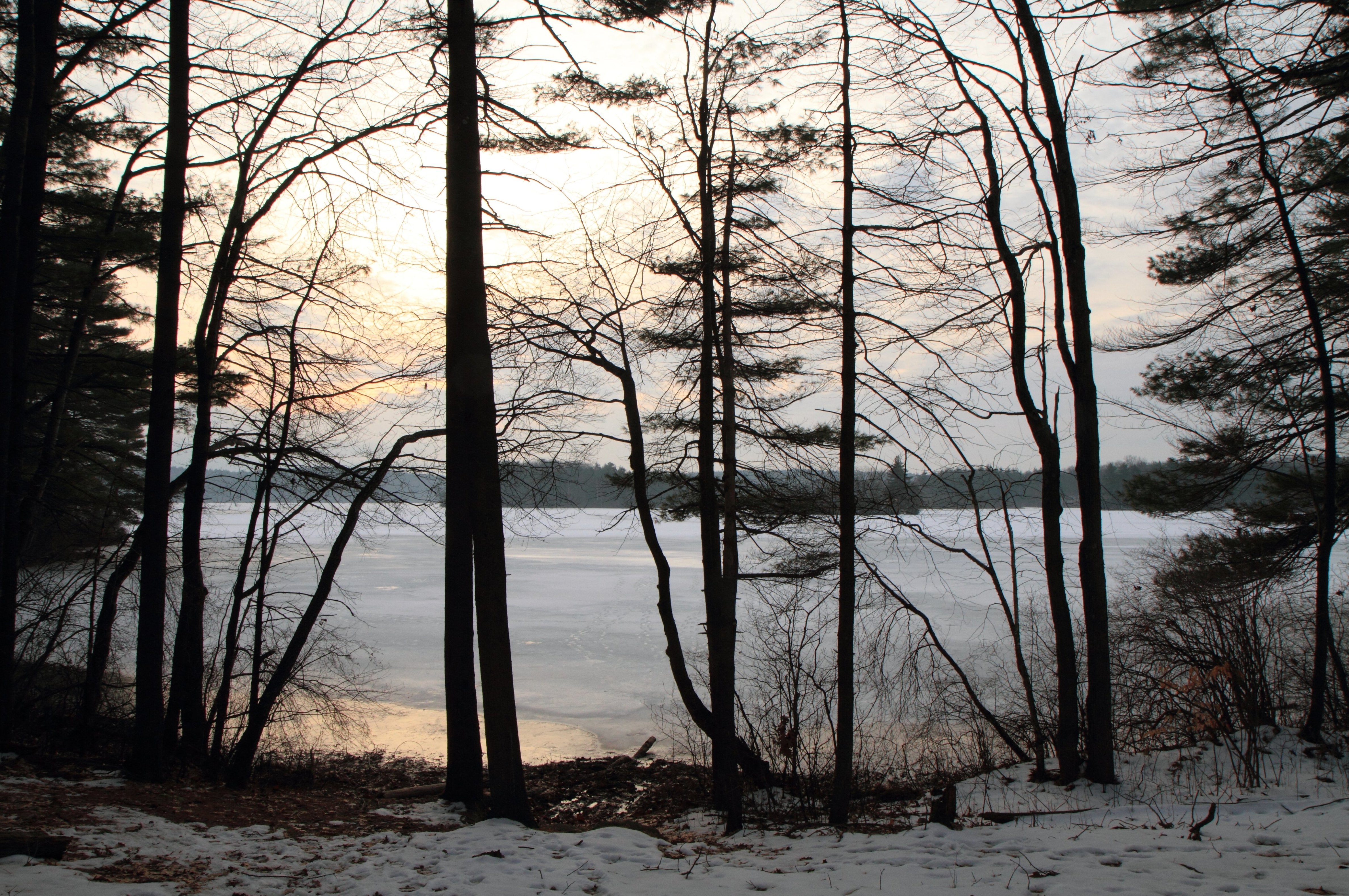 Whitehall State Park