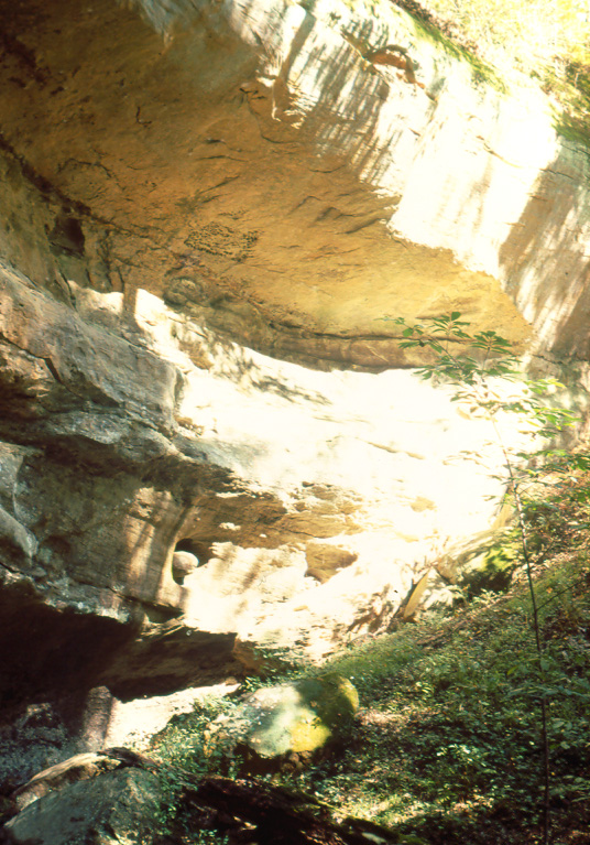 Strouds Ridge Preserve State Park
