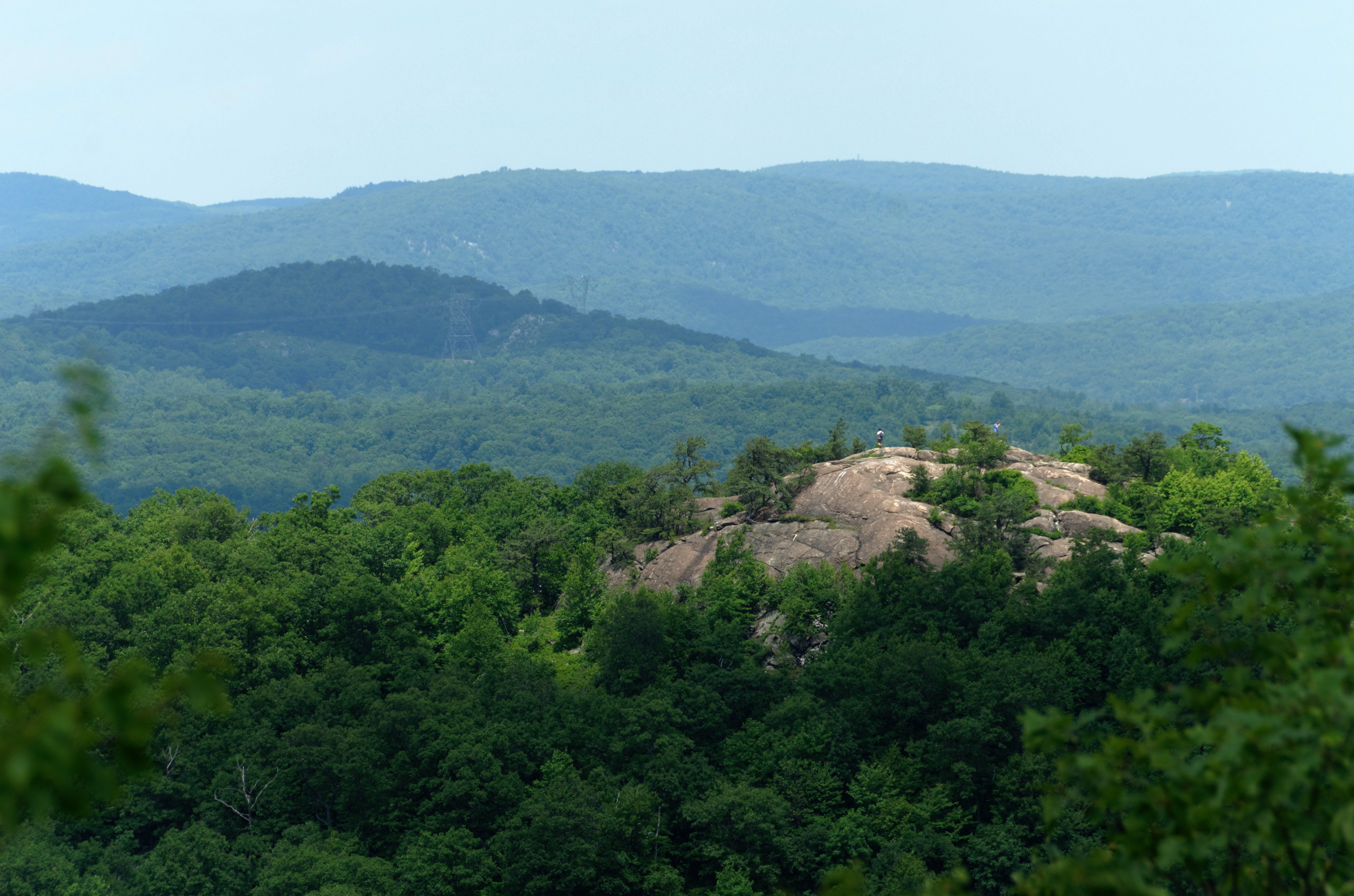 Norvin Green State Forest State Park