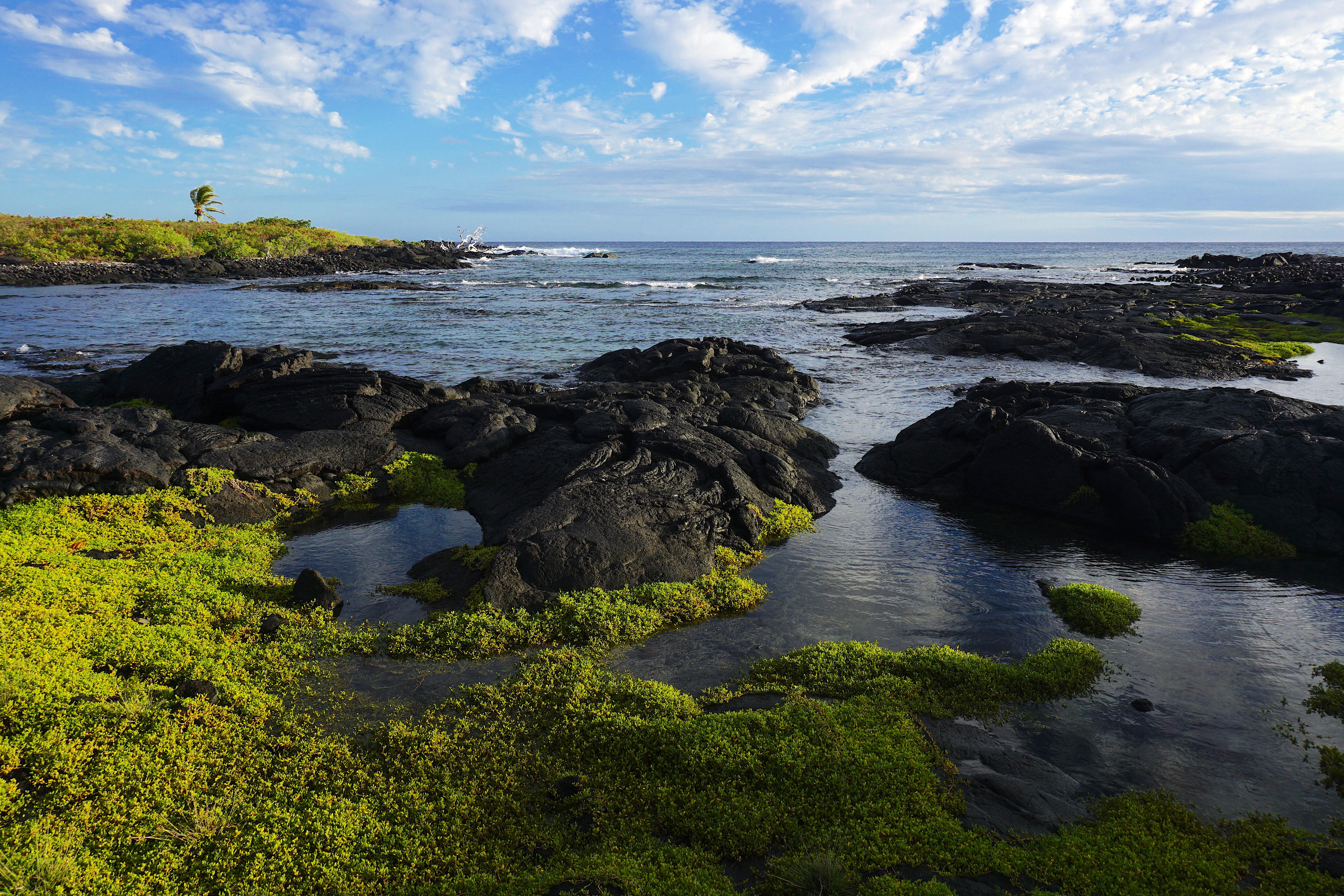 Hawaiʻi Volcanoes National Park