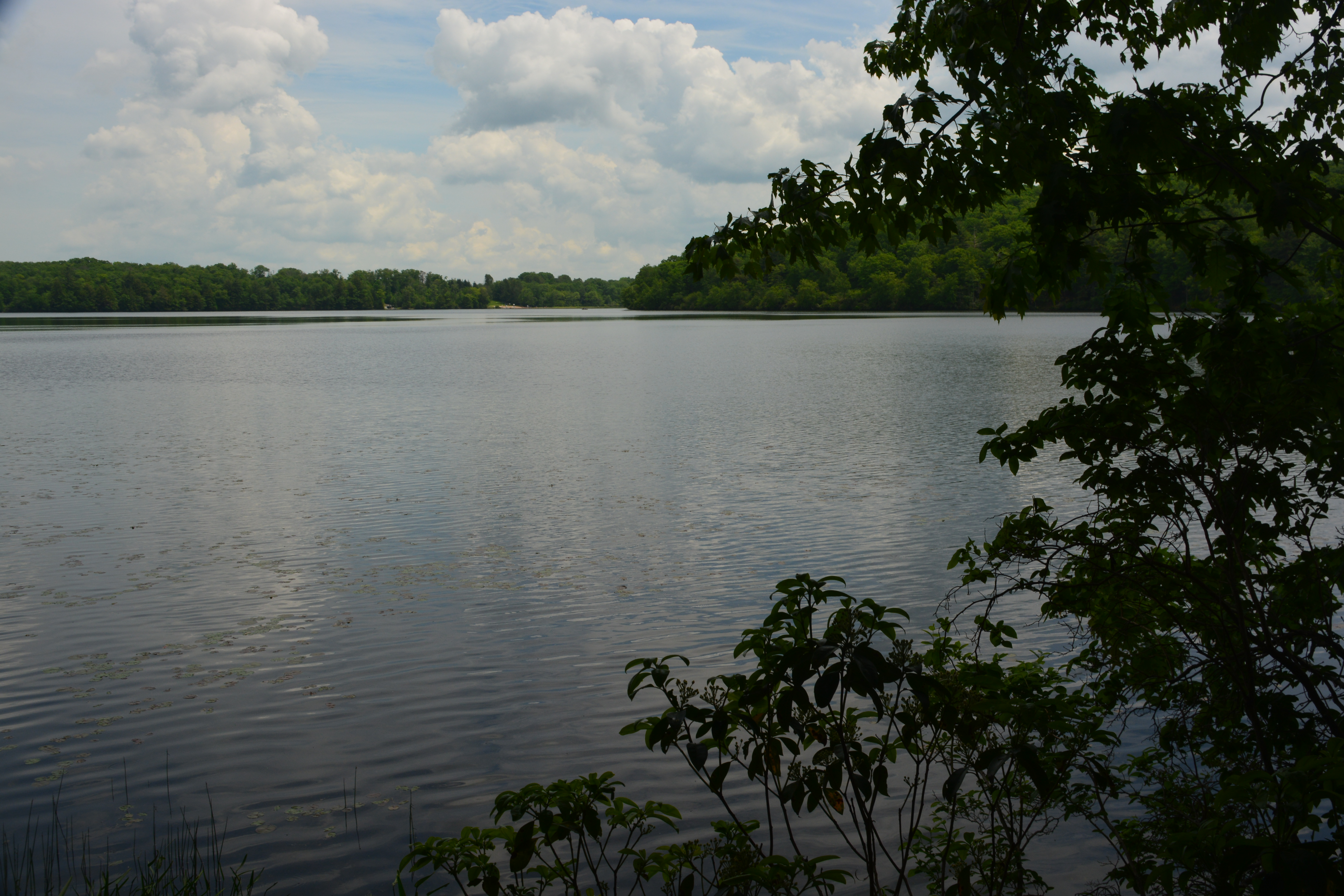 Lake Superior State Park