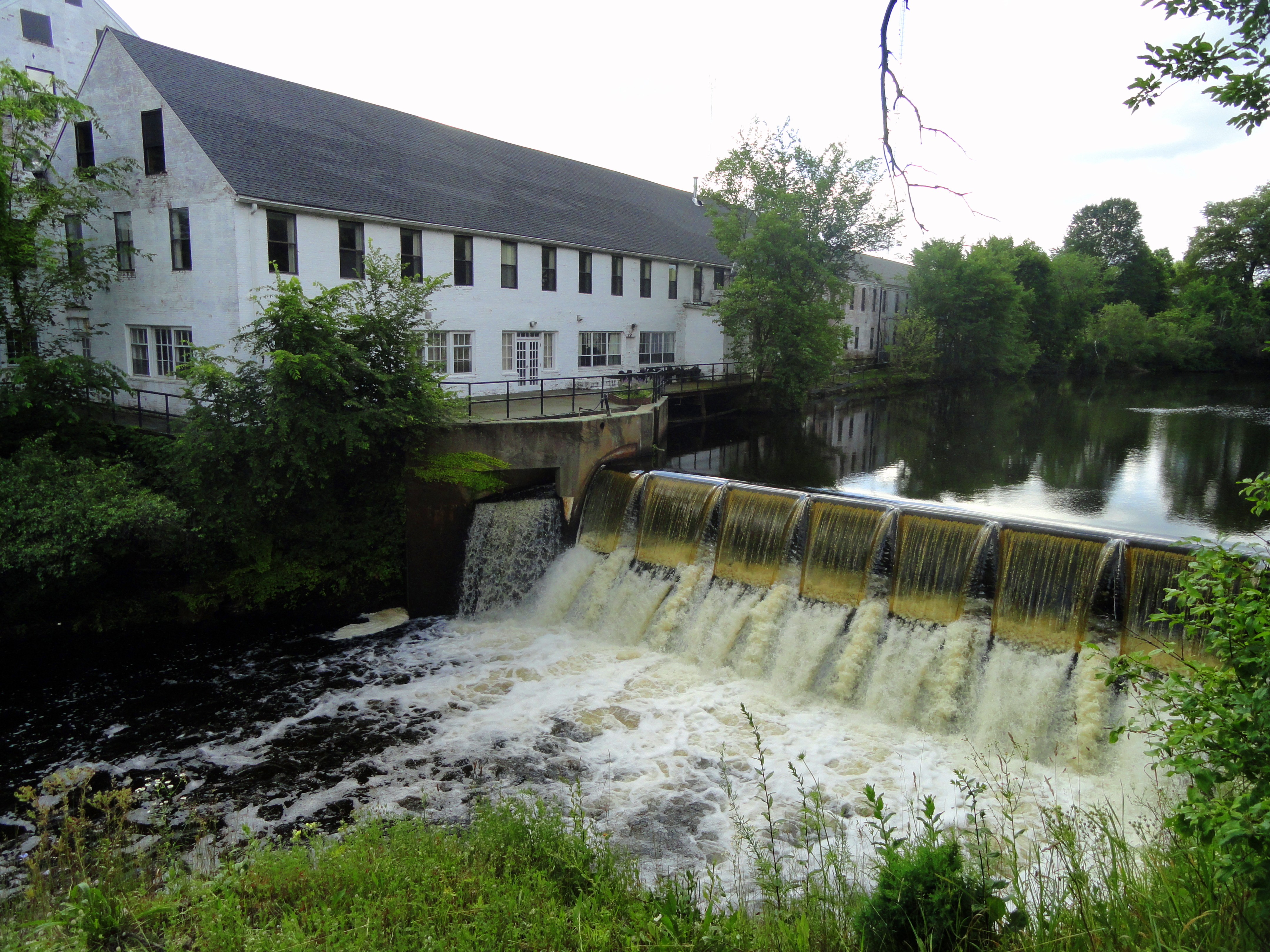 Upper Charles River Reservation State Park