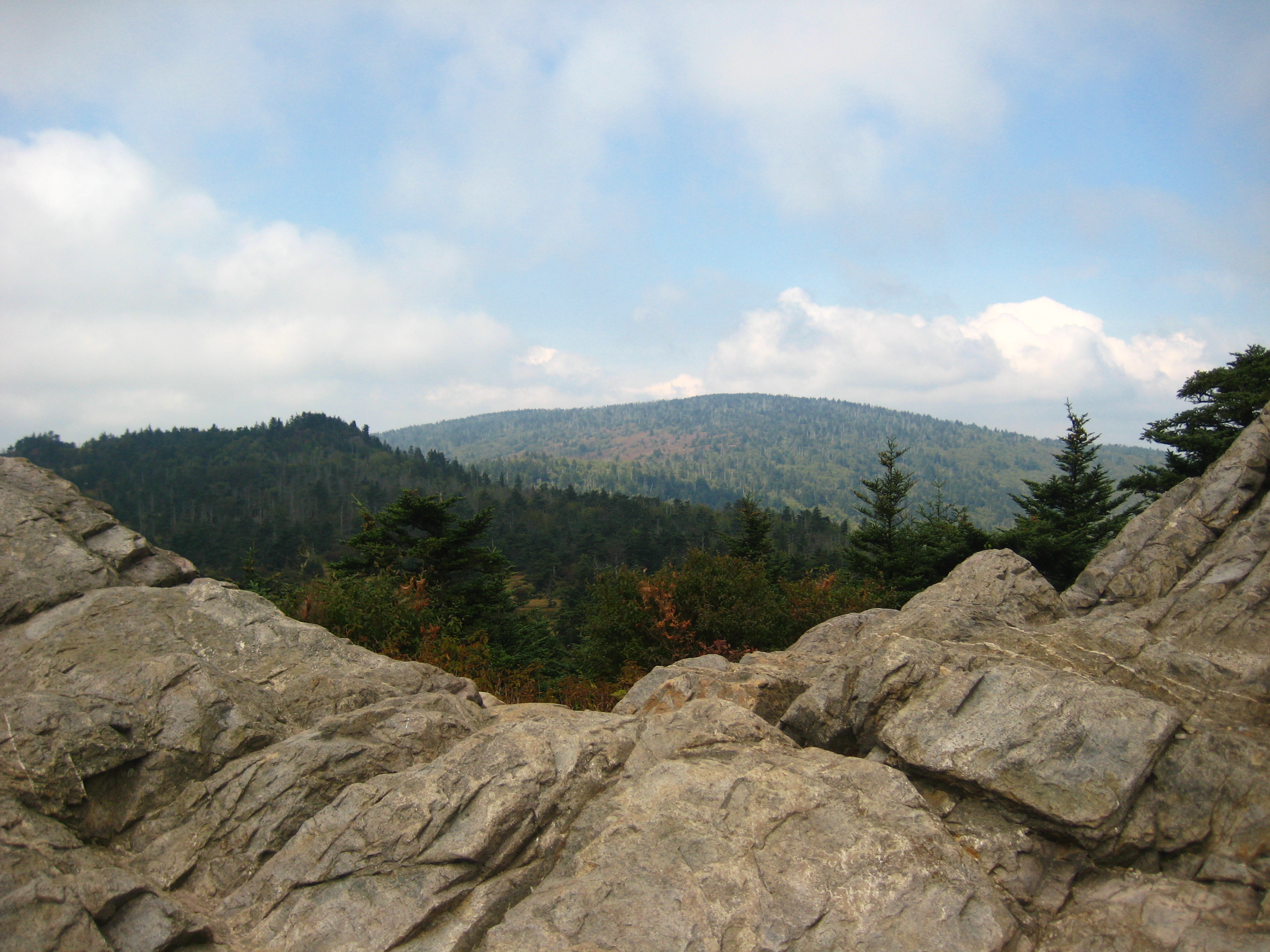 Mount Rogers National Recreation Area State Park