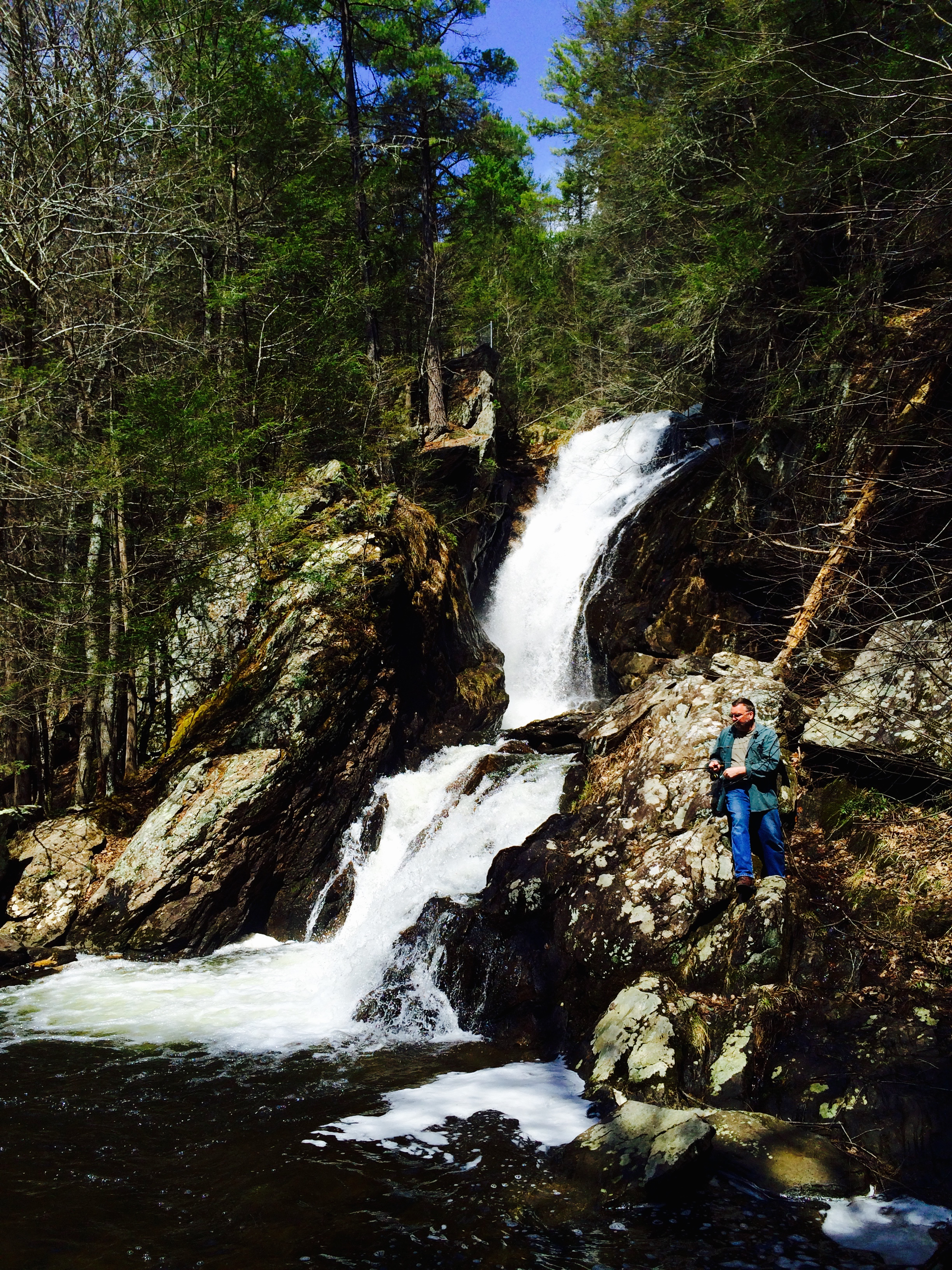 Campbell Falls State Park Reserve