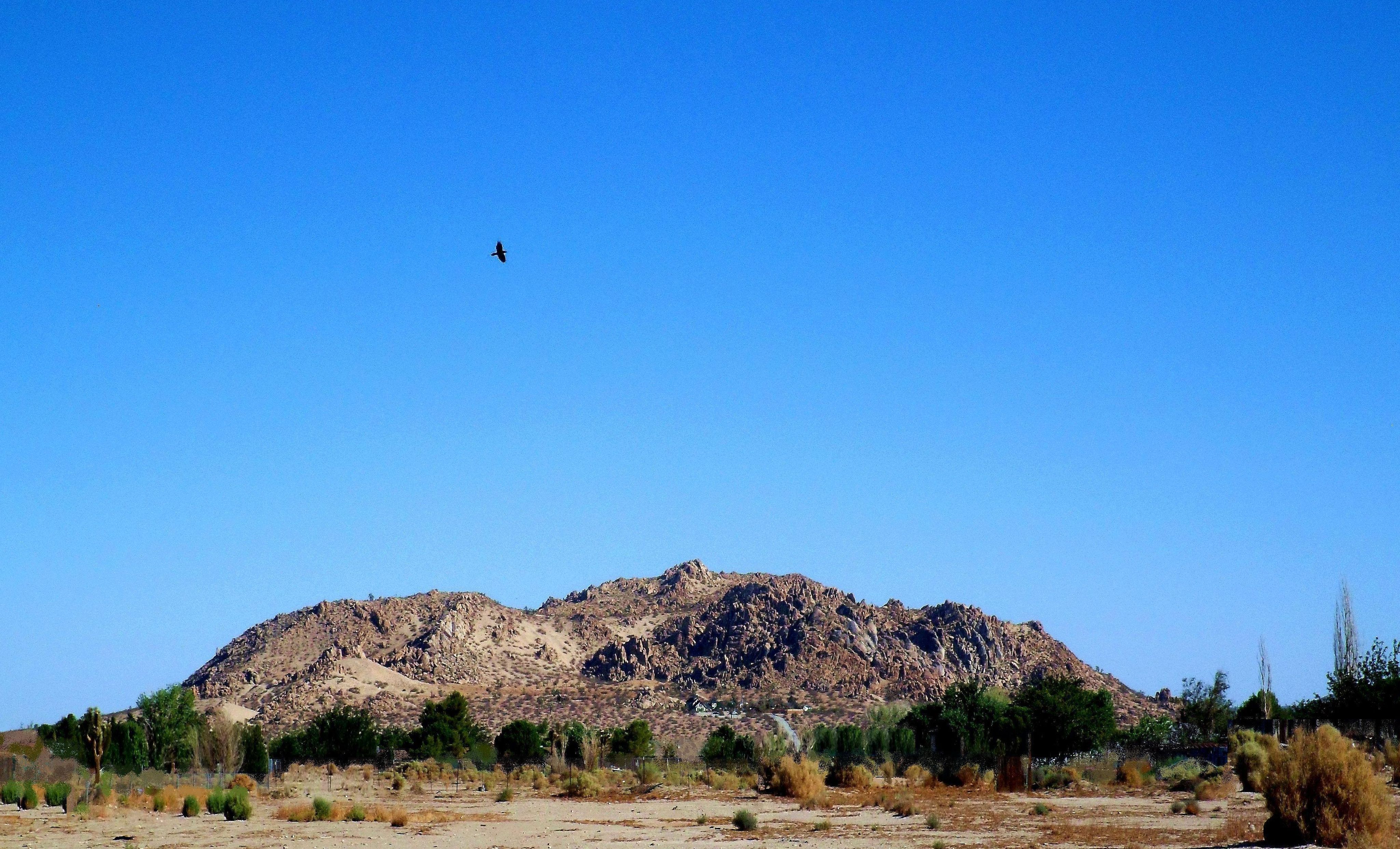 Saddleback Butte State Park