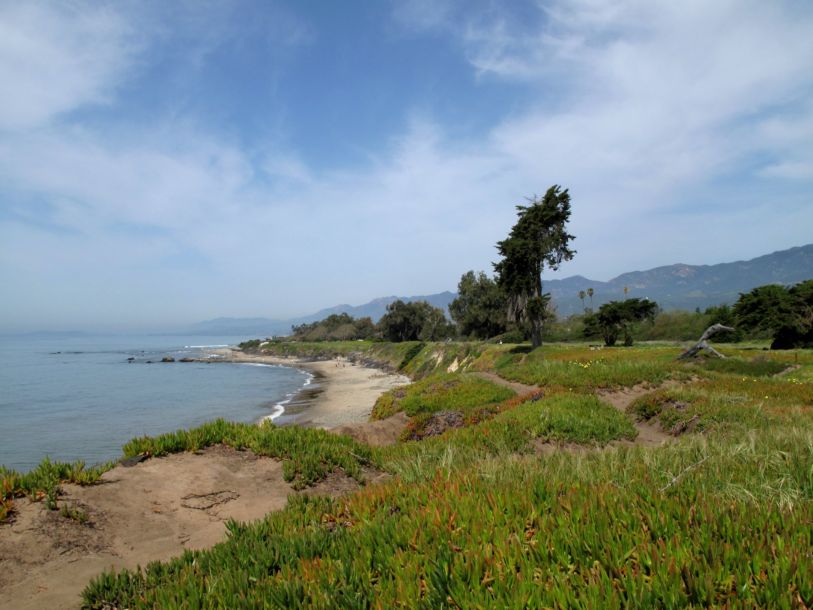 Carpinteria State Beach State Park