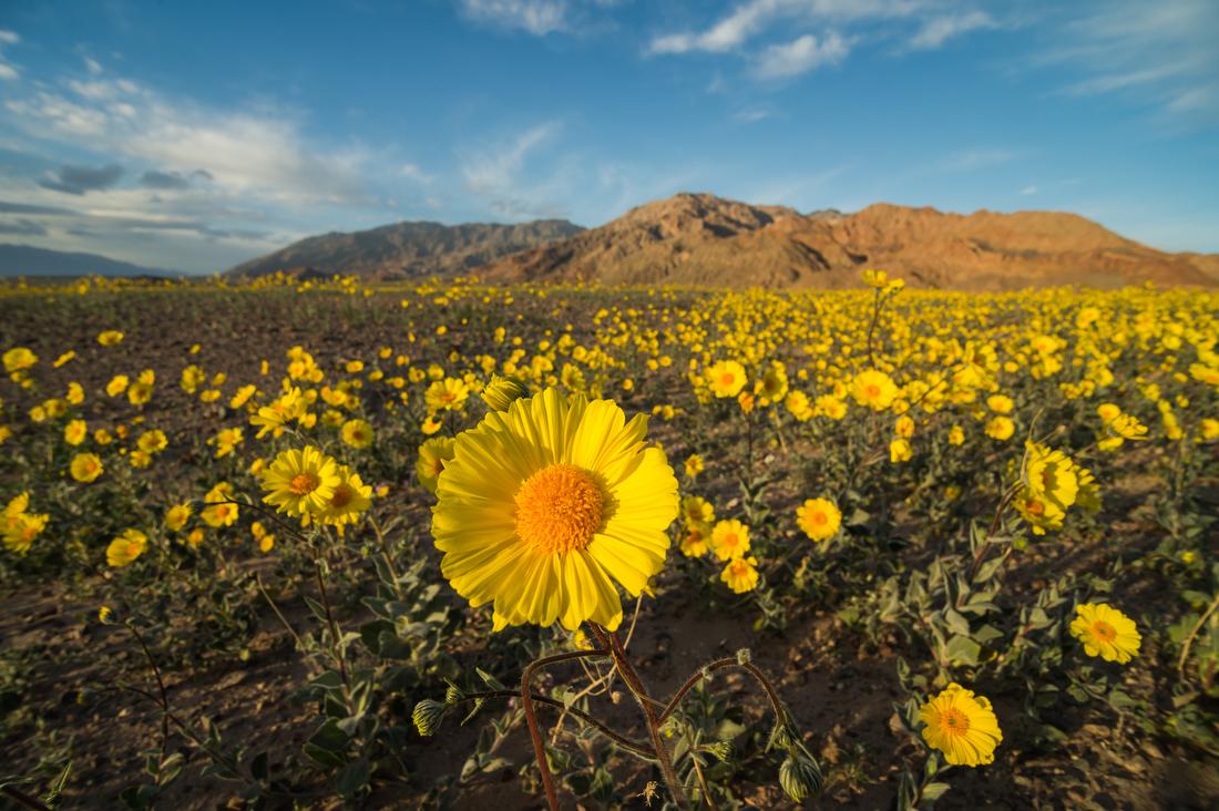 Death Valley National Park