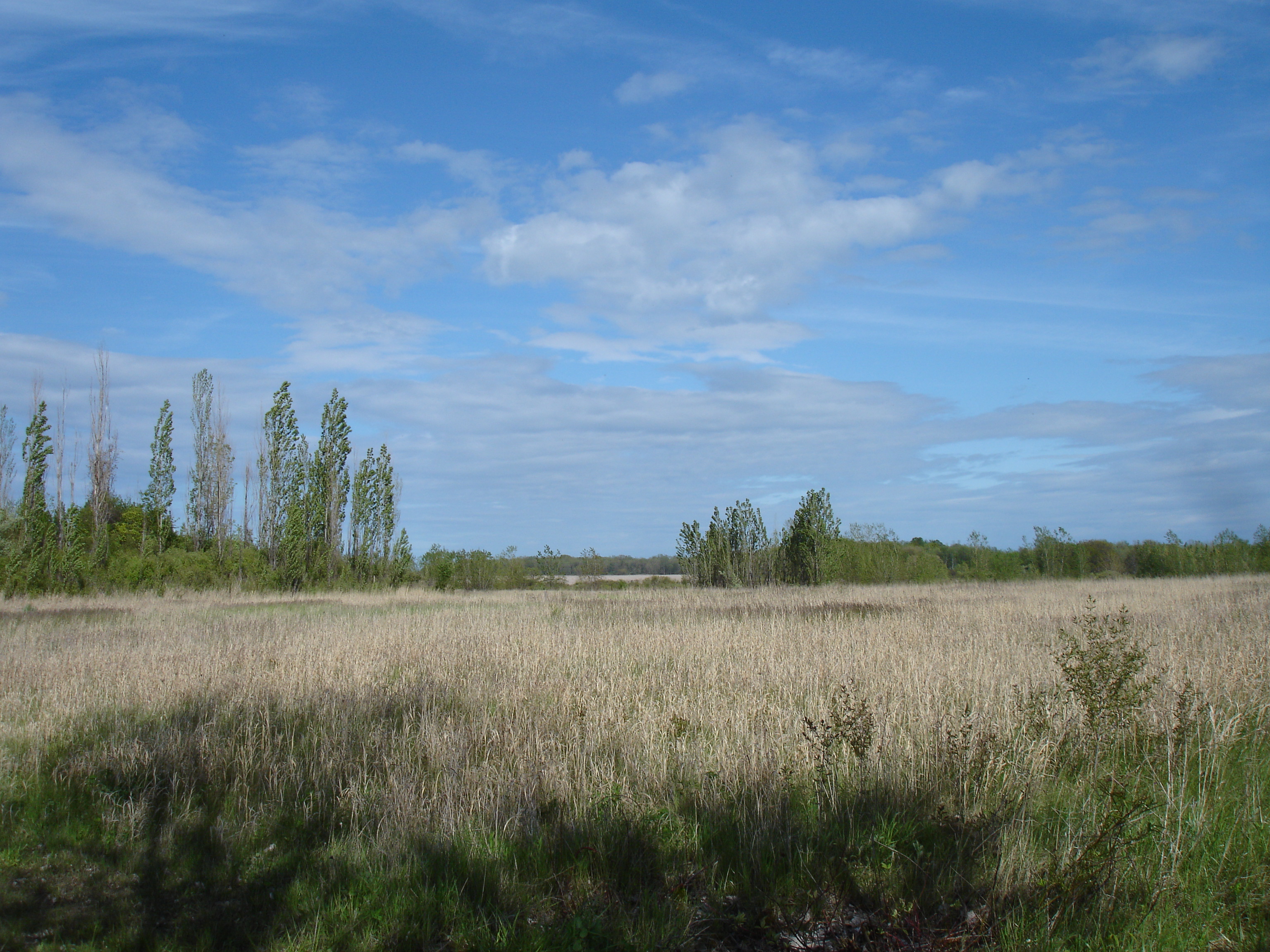 Braddock Bay State Park