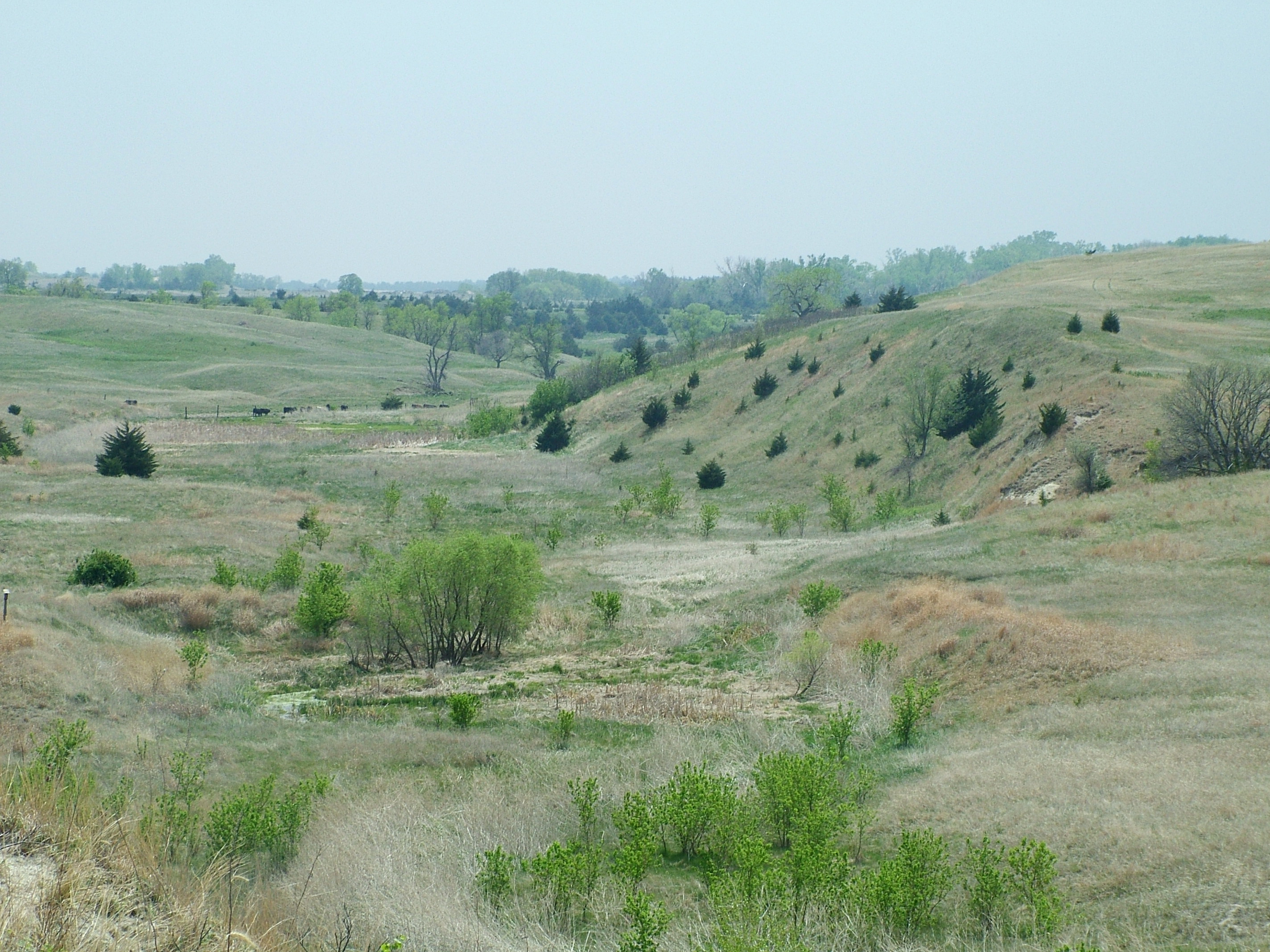 Ashfall Fossil Beds State Historical Park State Park