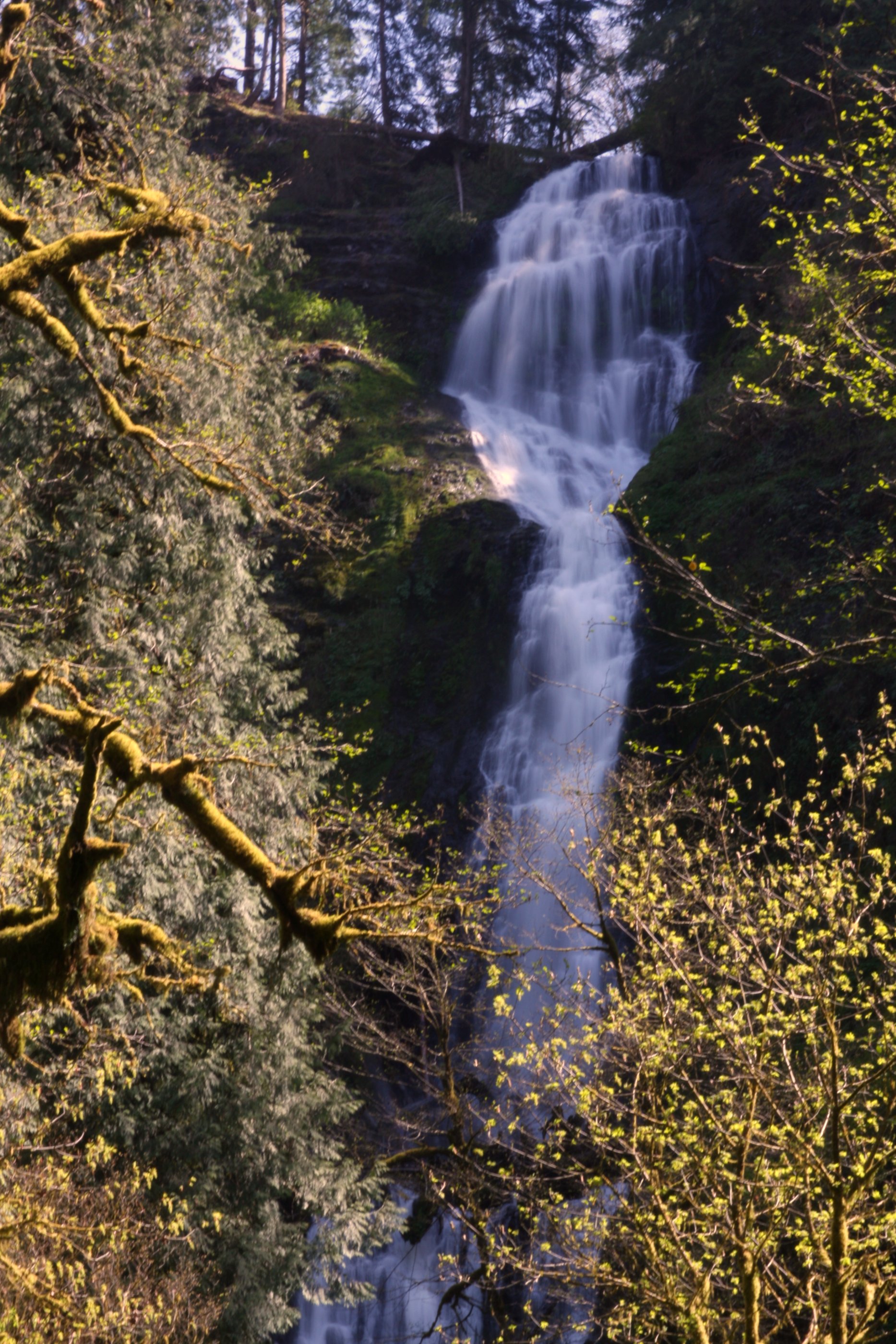 Munson Creek Falls State Natural Site State Park