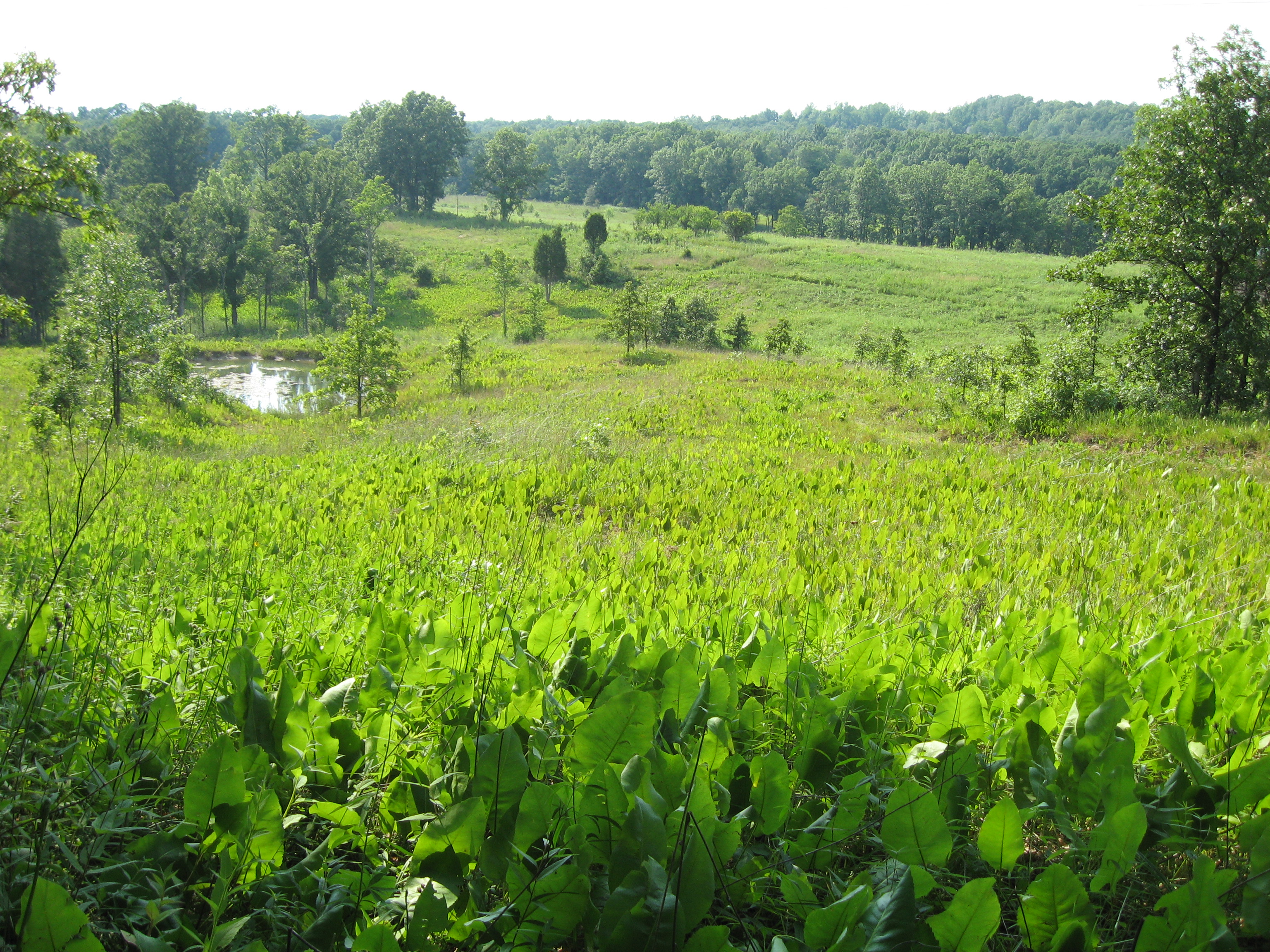 Chaparral Prairie State Nature Preserve State Park
