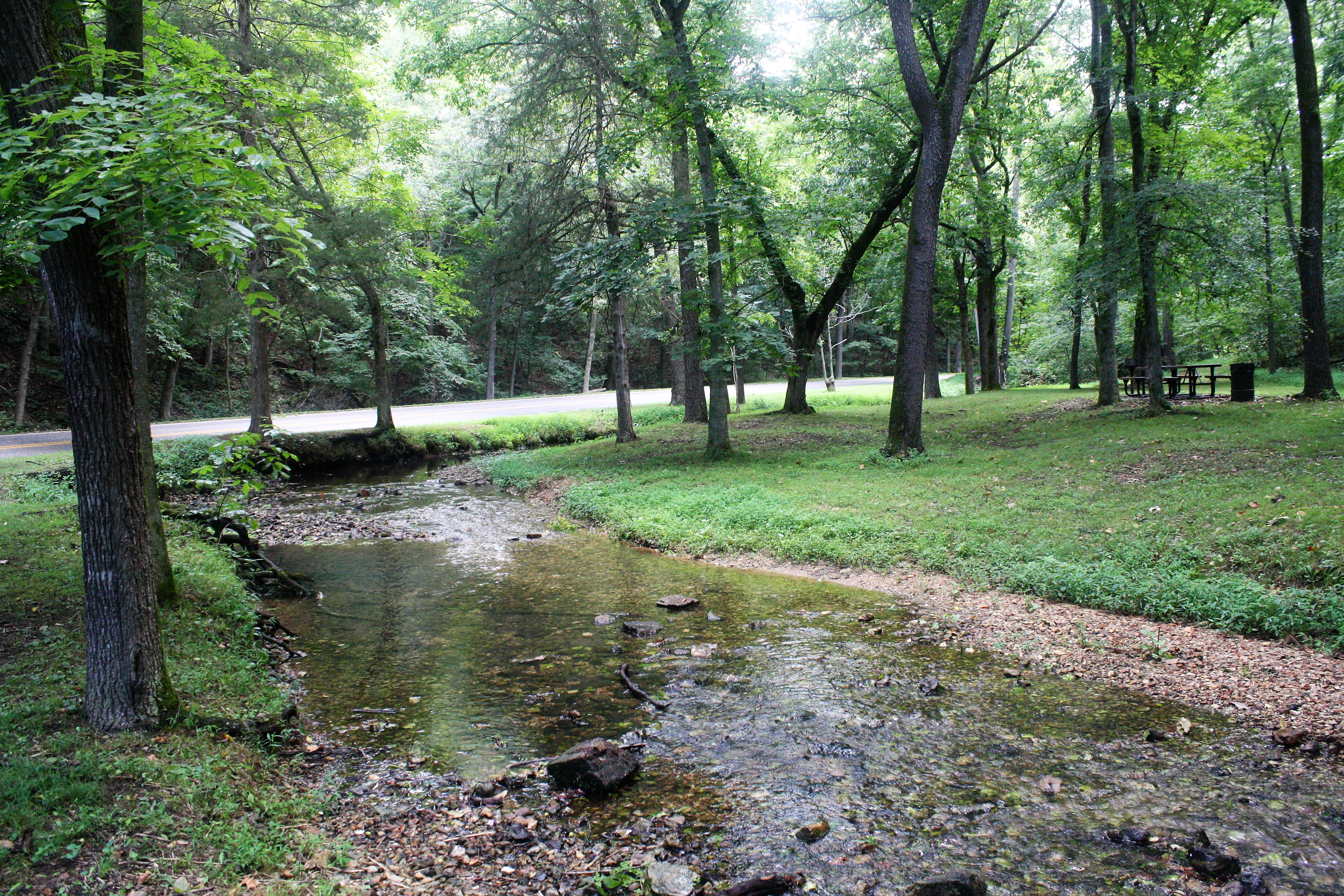 Withrow Springs State Park