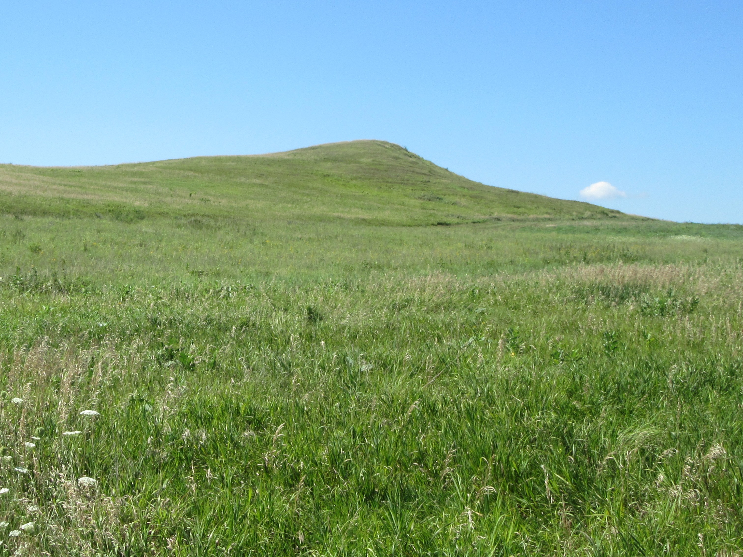 Spirit Mound Historic Prairie State Park