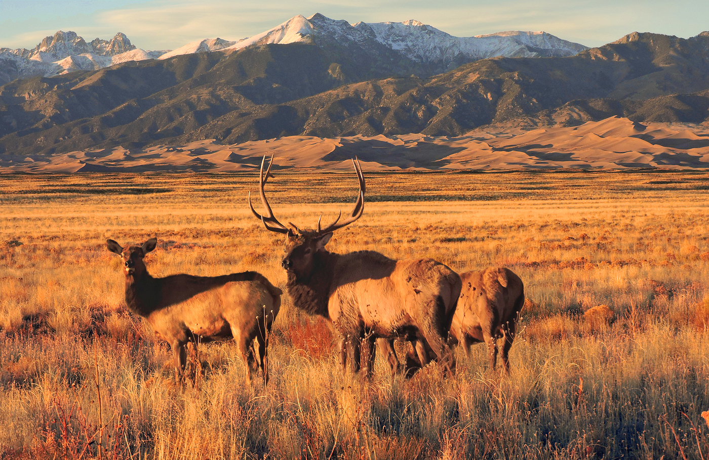 Great Sand Dunes National Park & Preserve