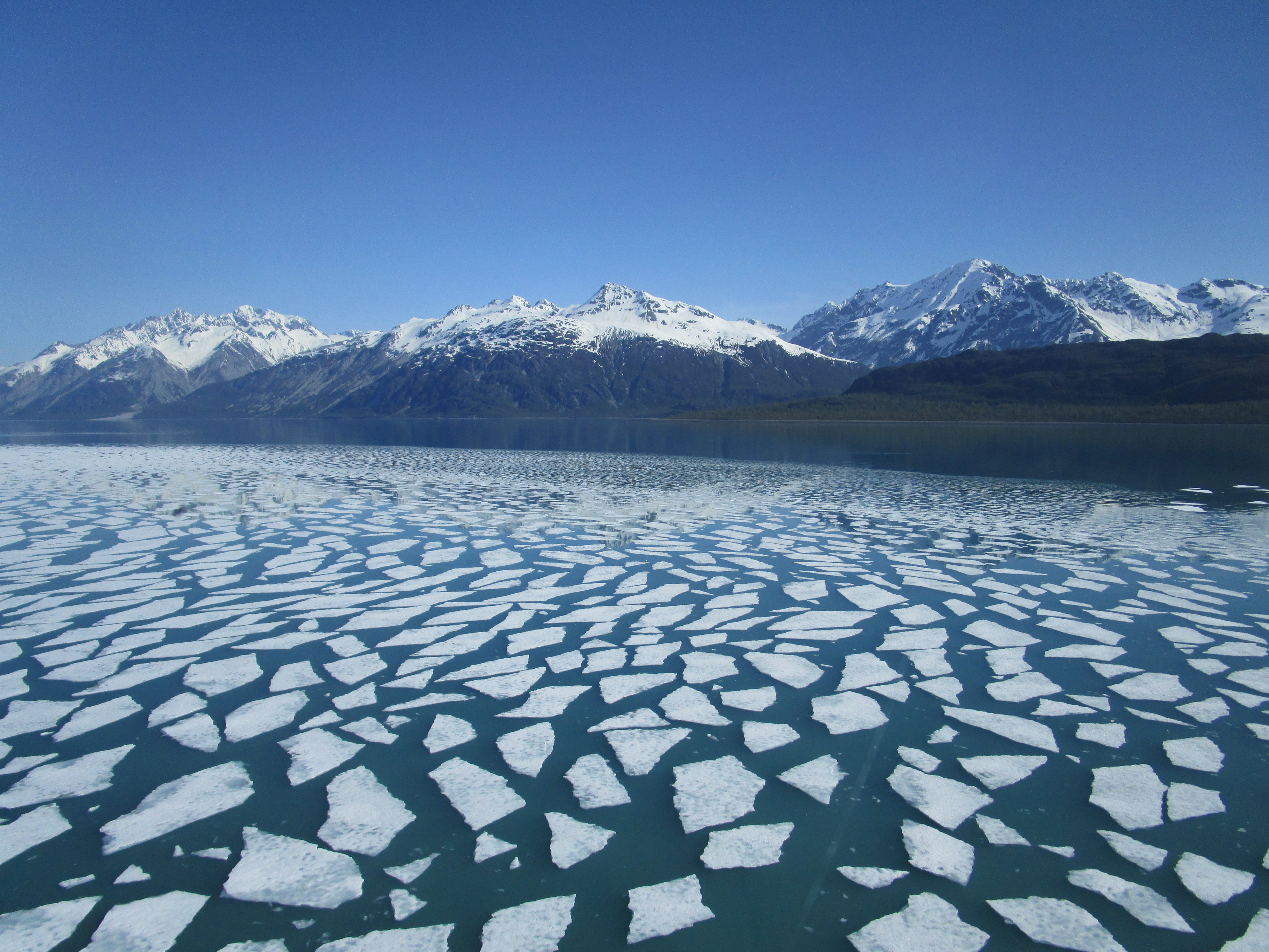 Glacier Bay National Park & Preserve