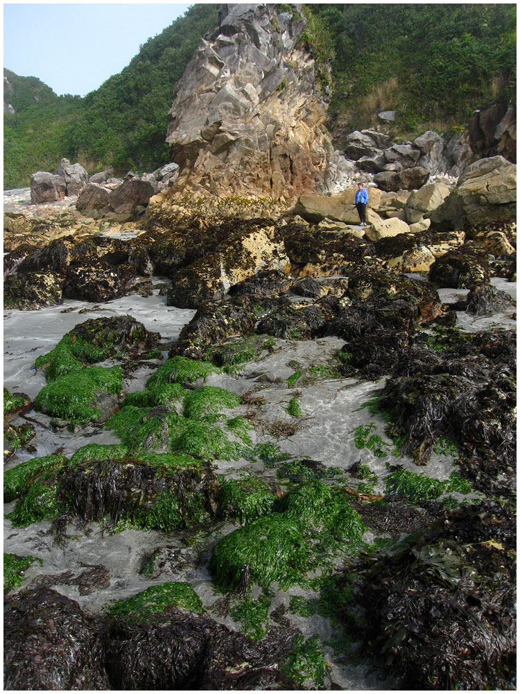 Harris Beach State Recreation Area State Park