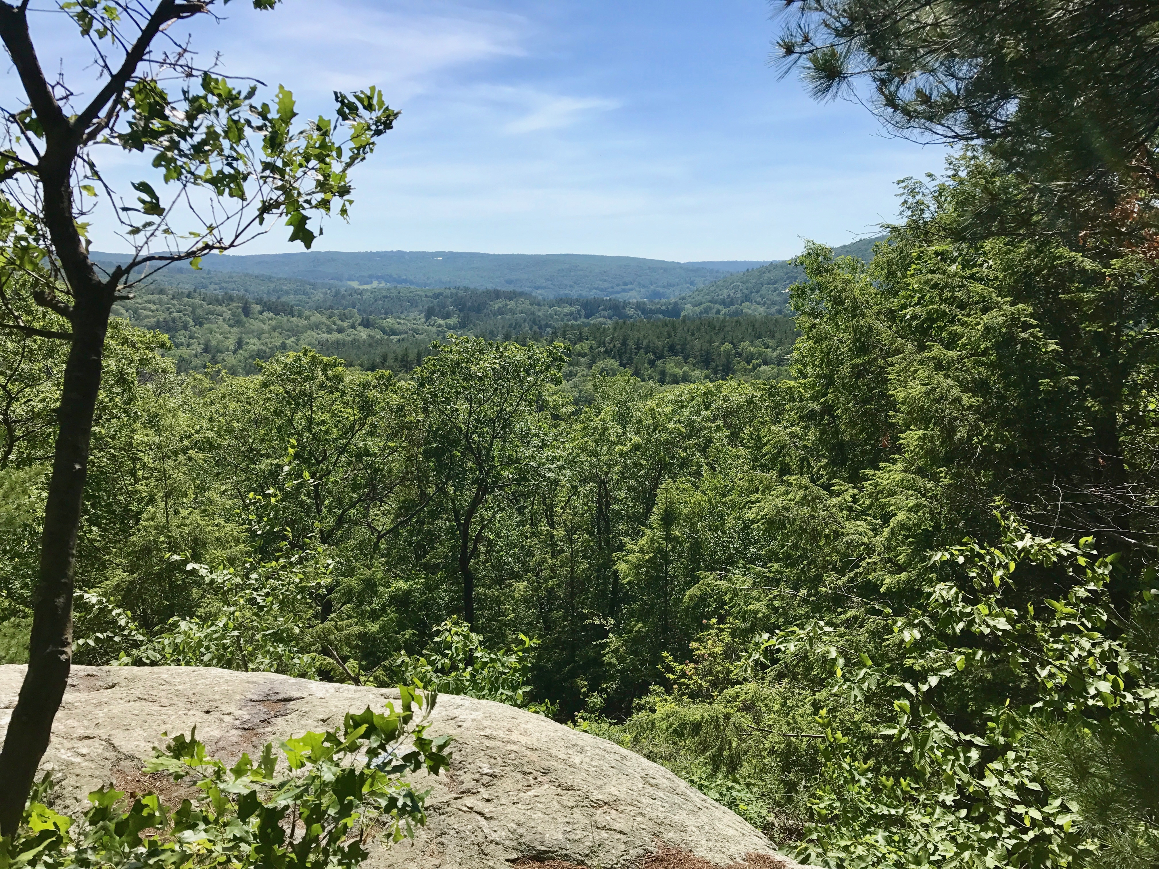 Nepaug State Forest State Park