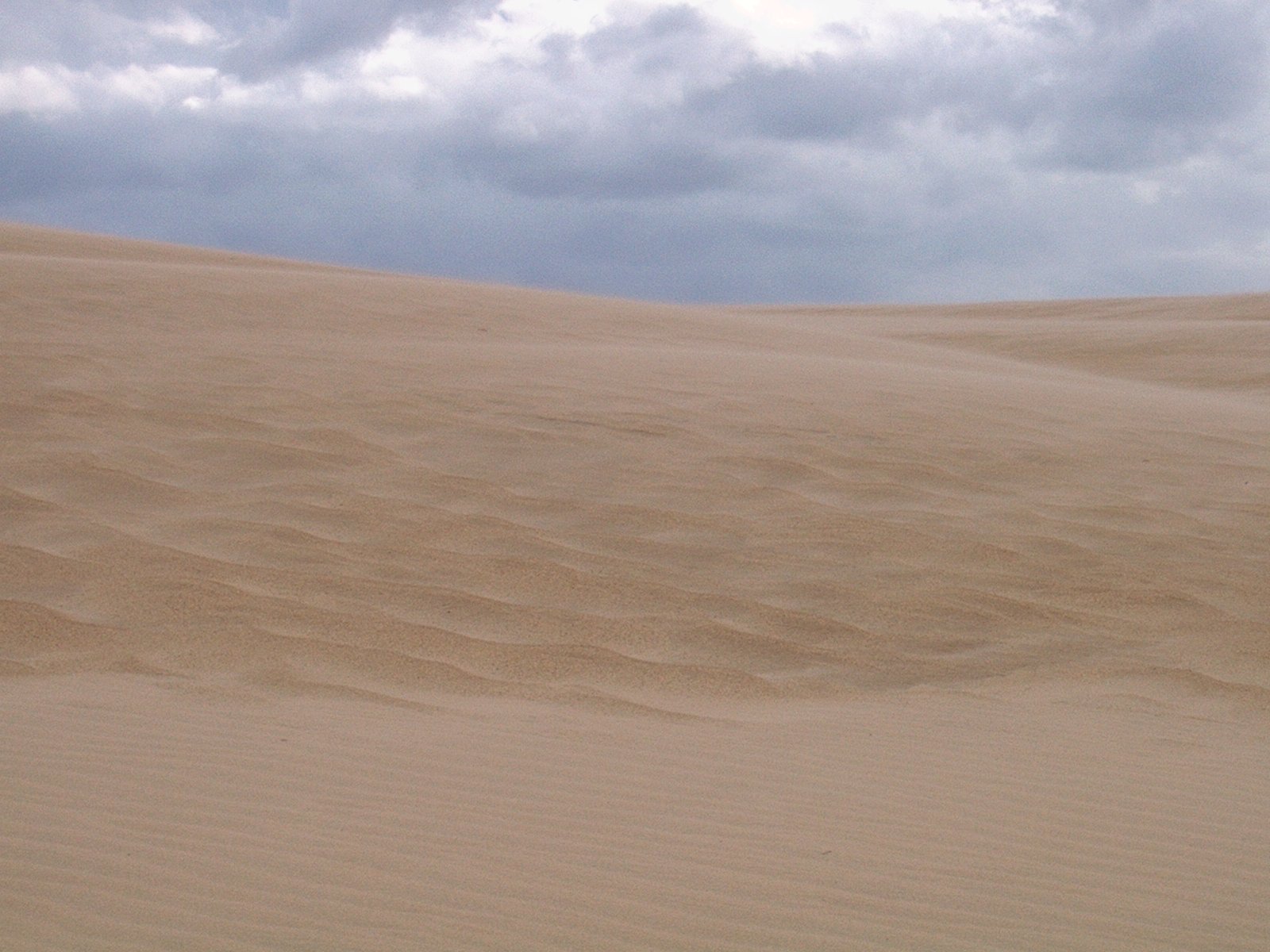 Jockey's Ridge State Park