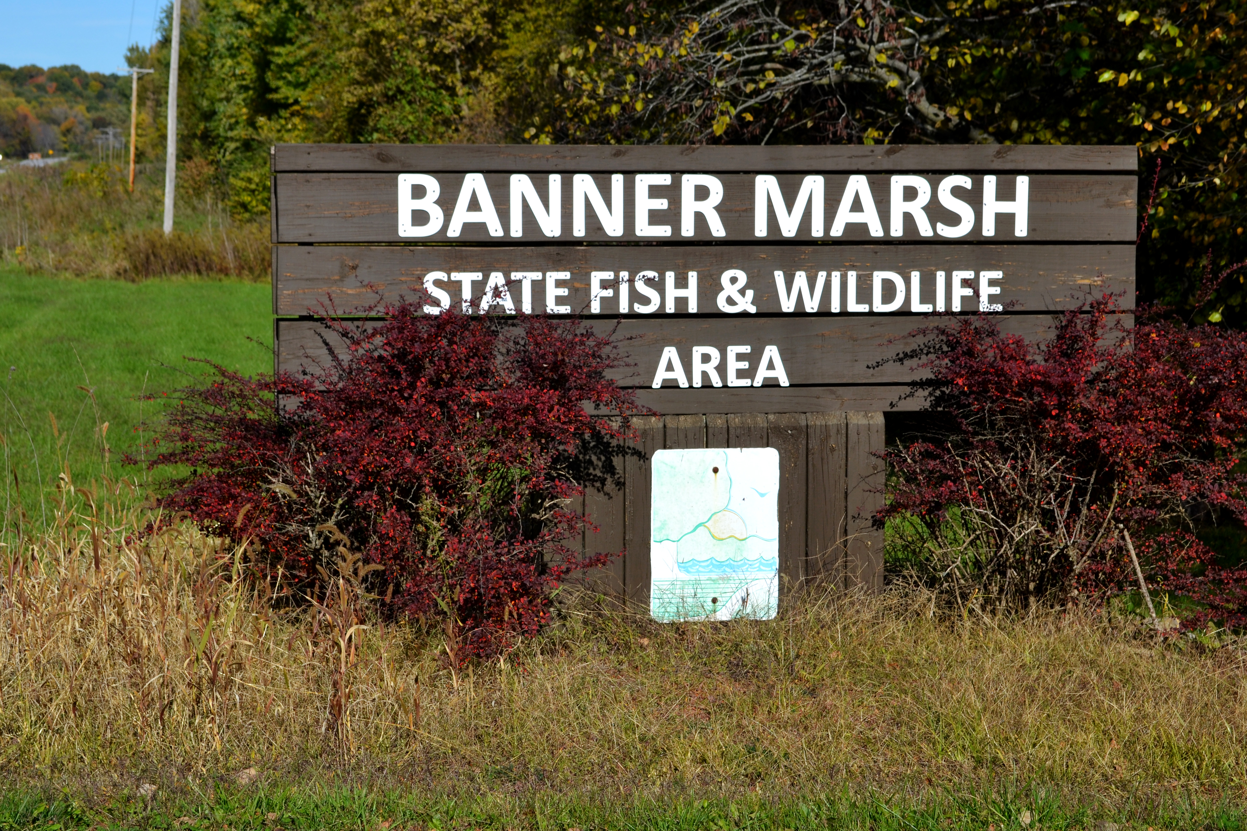 Banner Marsh State Fish and Wildlife Area State Park